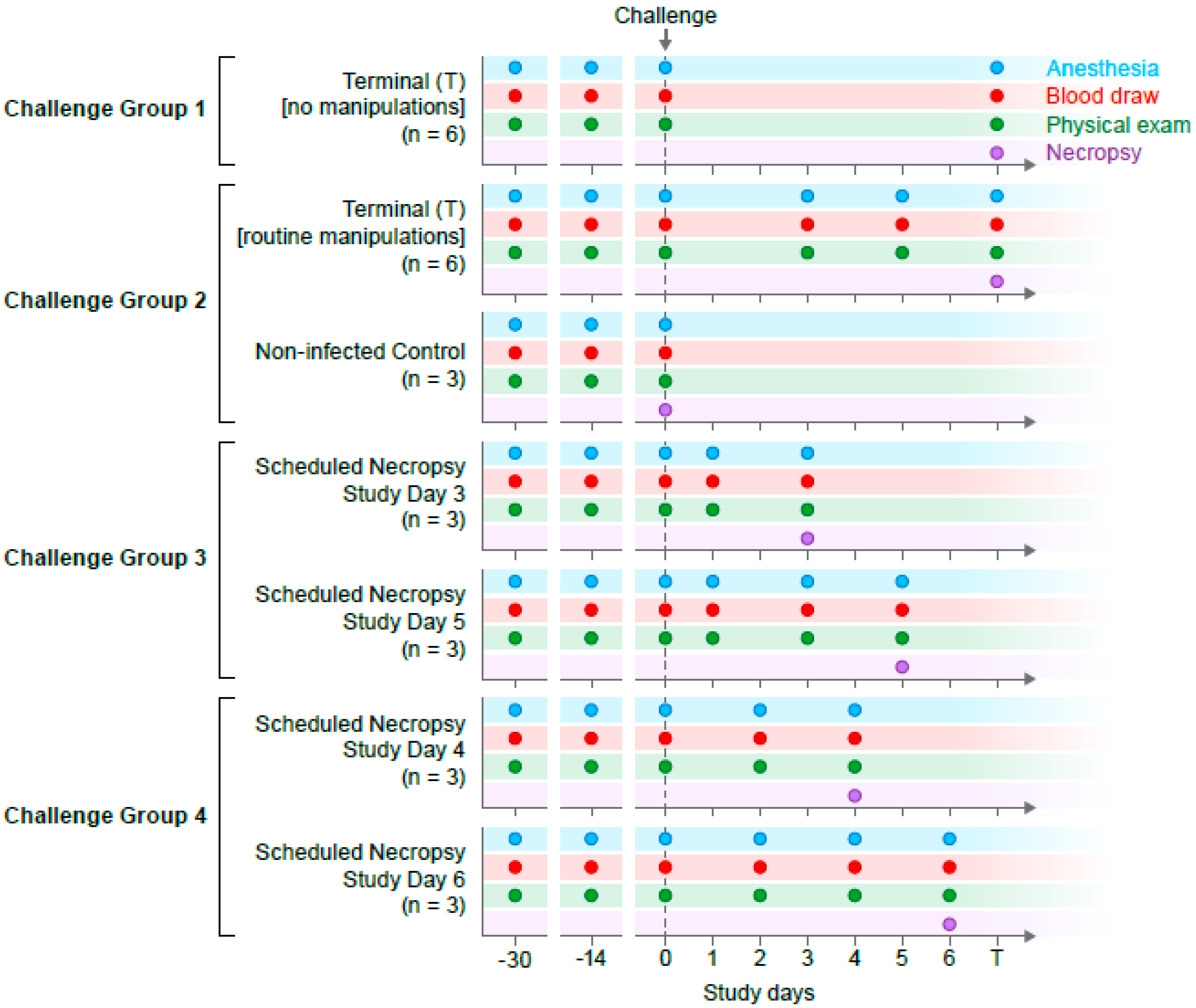 Viruses 12 00753 g001