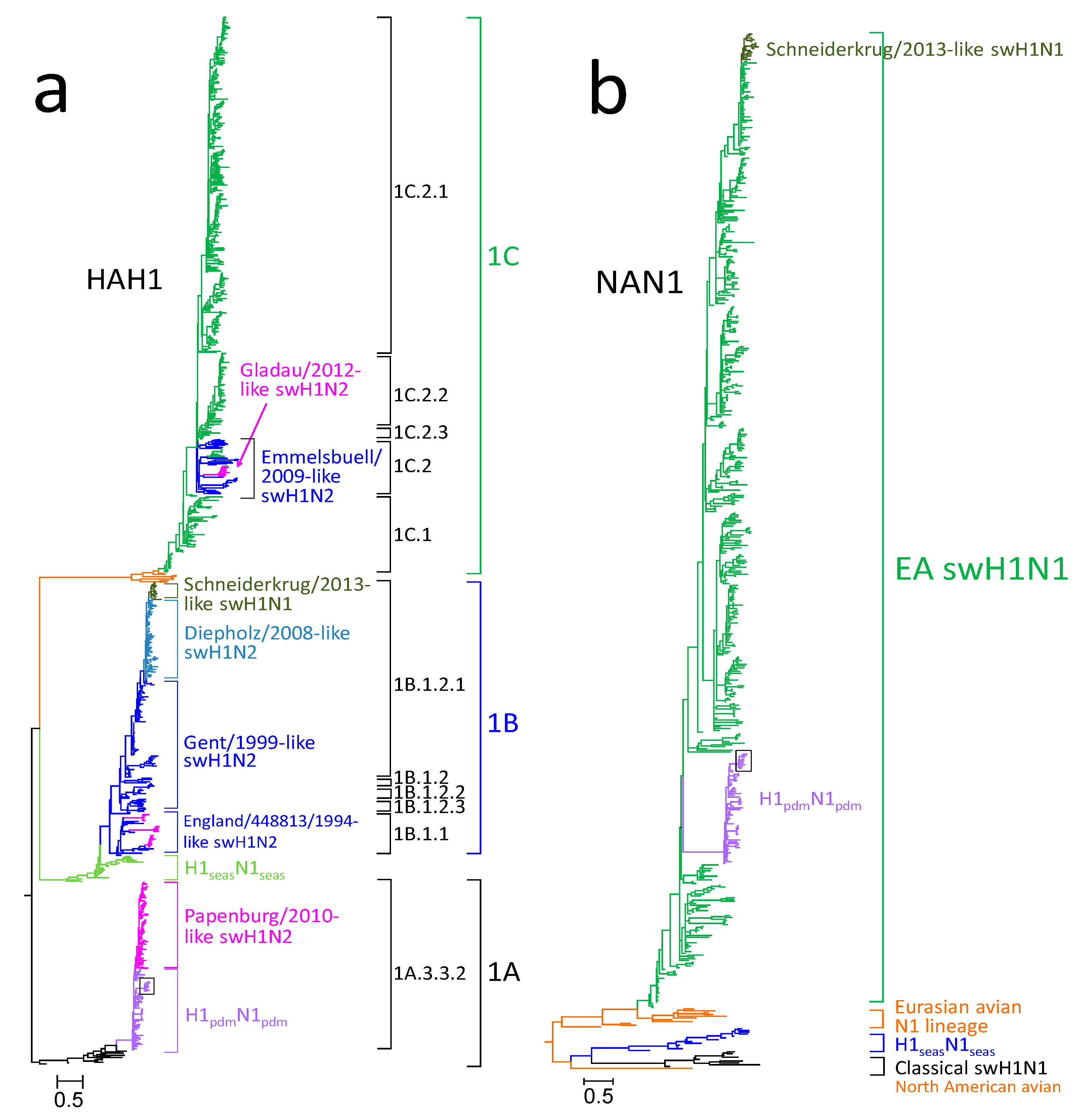Viruses 12 00762 g002
