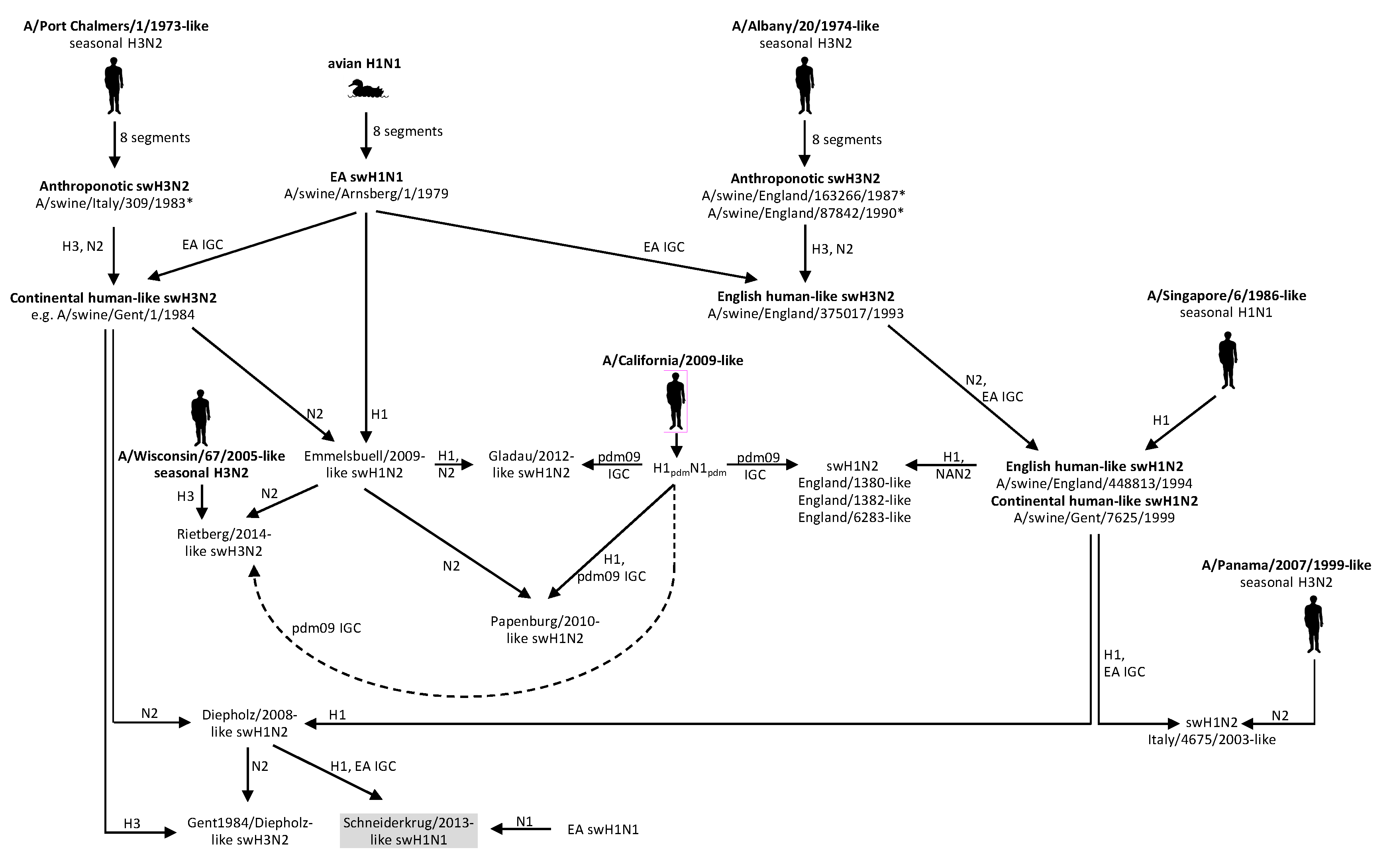 Viruses 12 00762 g005