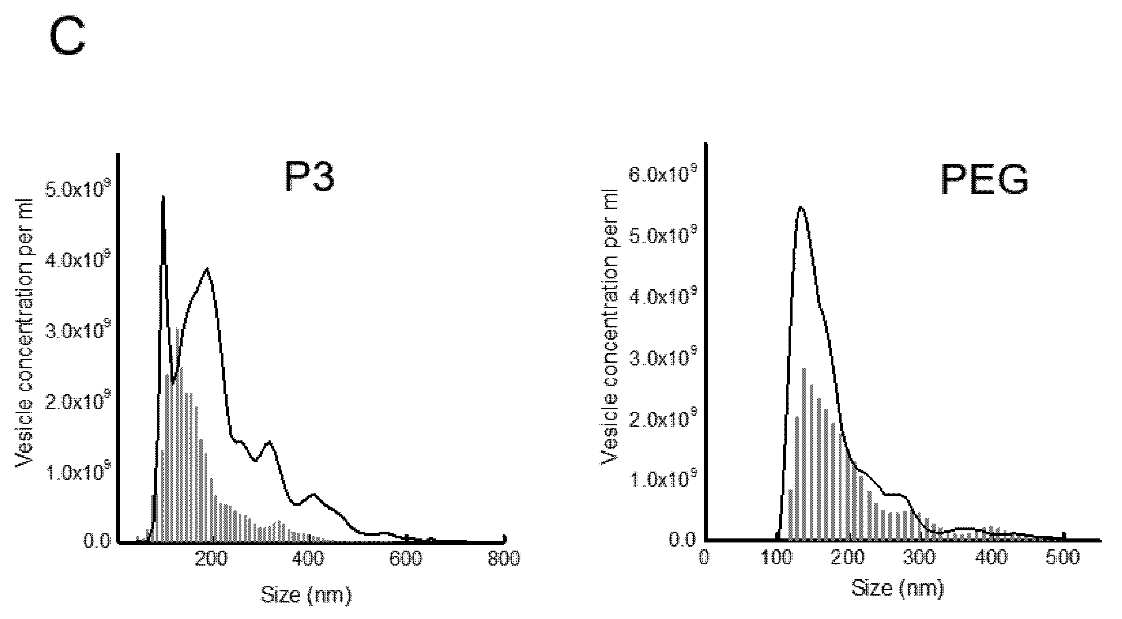 Viruses 12 00763 g002b Viruses 12 00763 g002b