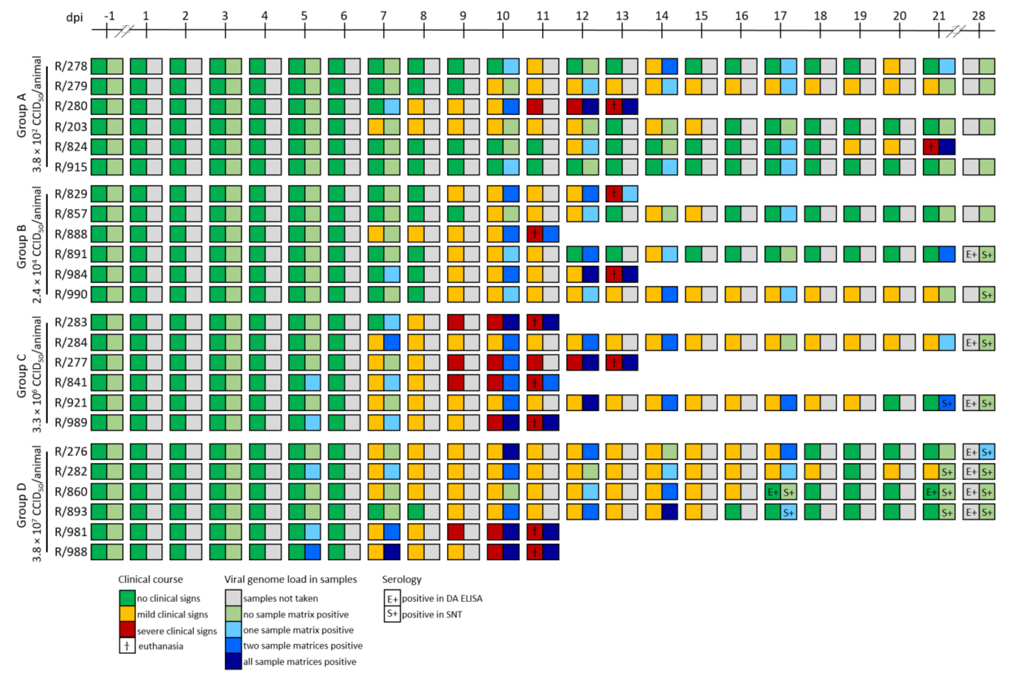 Viruses 12 00768 g003 Viruses 12 00768 g003