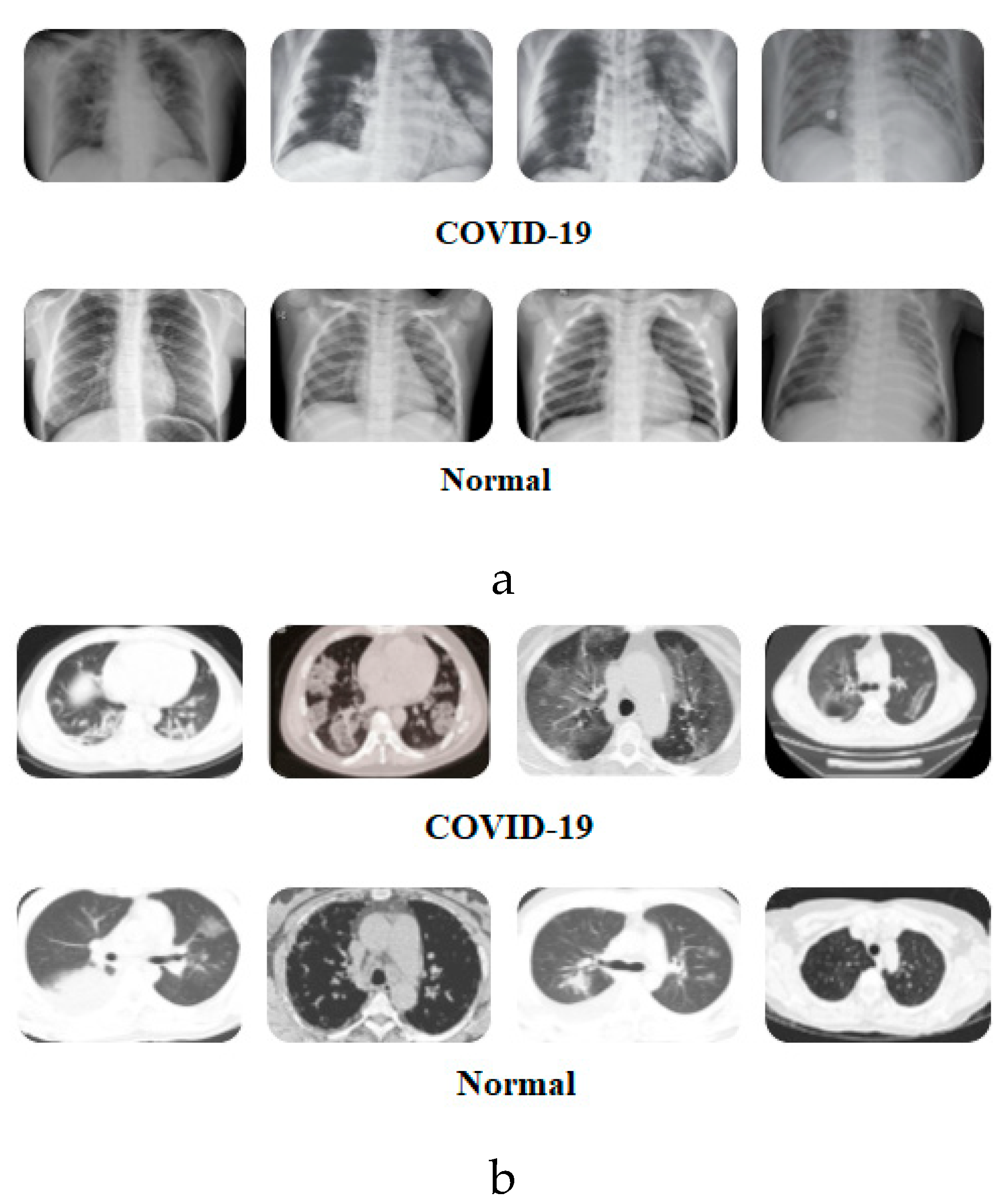 Viruses 12 00769 g002