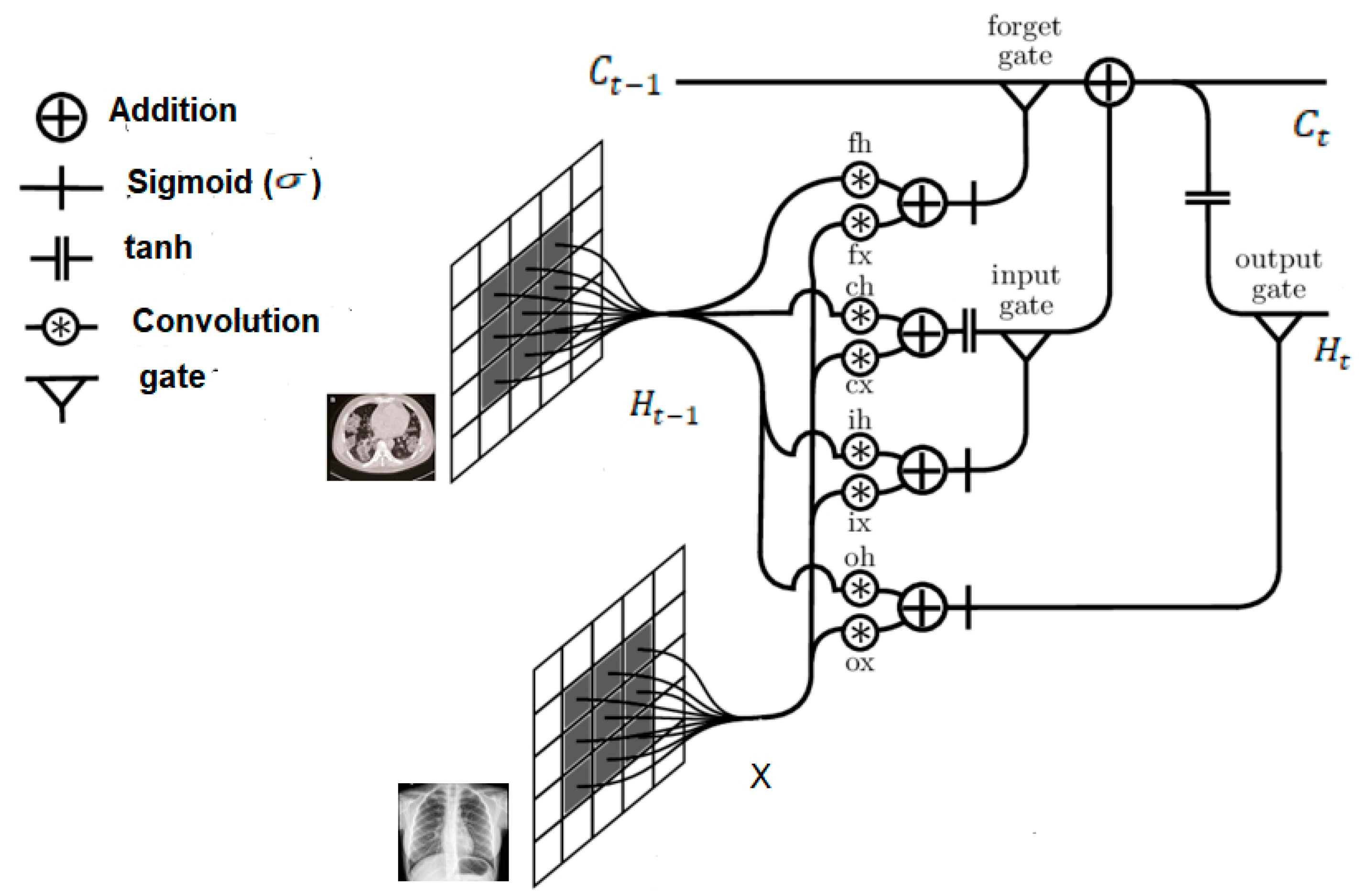Viruses 12 00769 g004