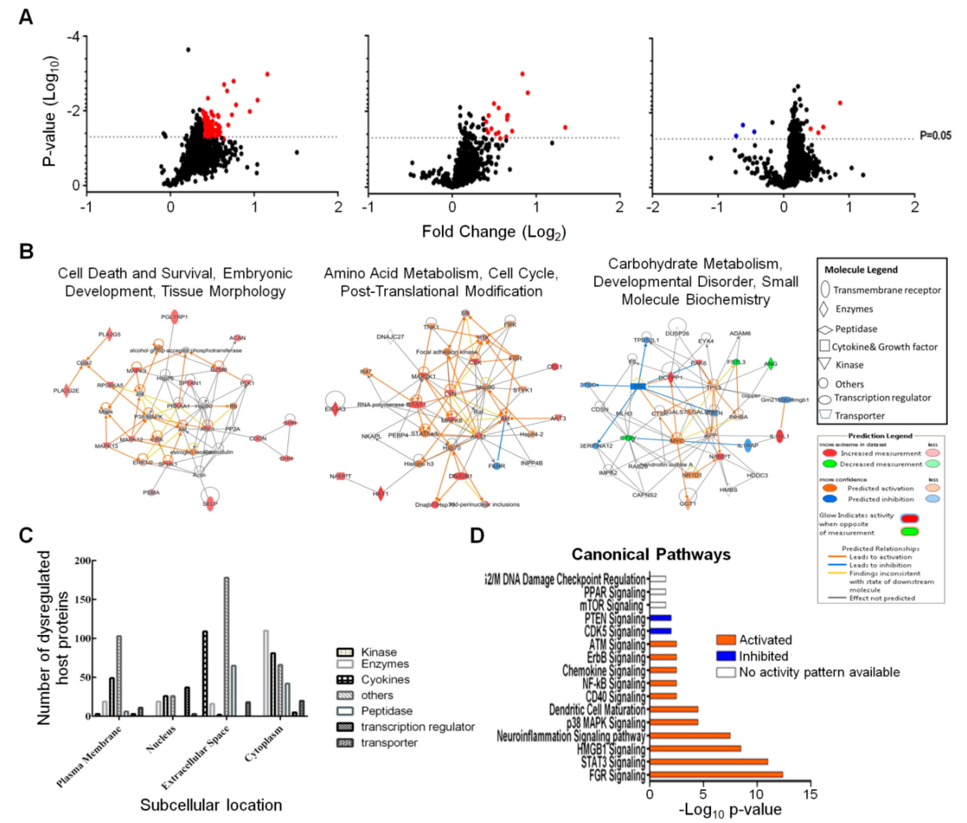 Viruses 12 00771 g002 Viruses 12 00771 g002