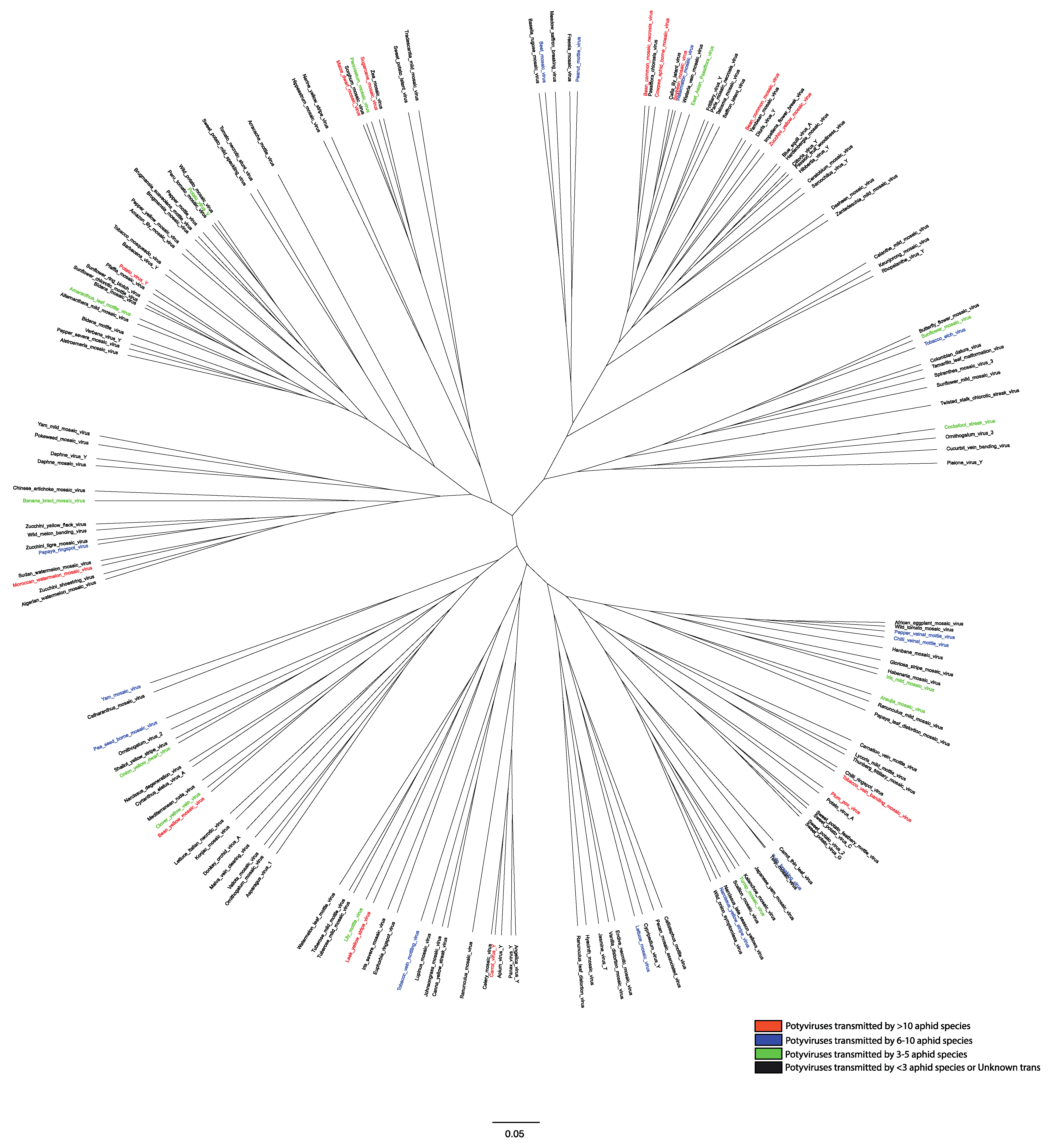 Viruses 12 00773 g003