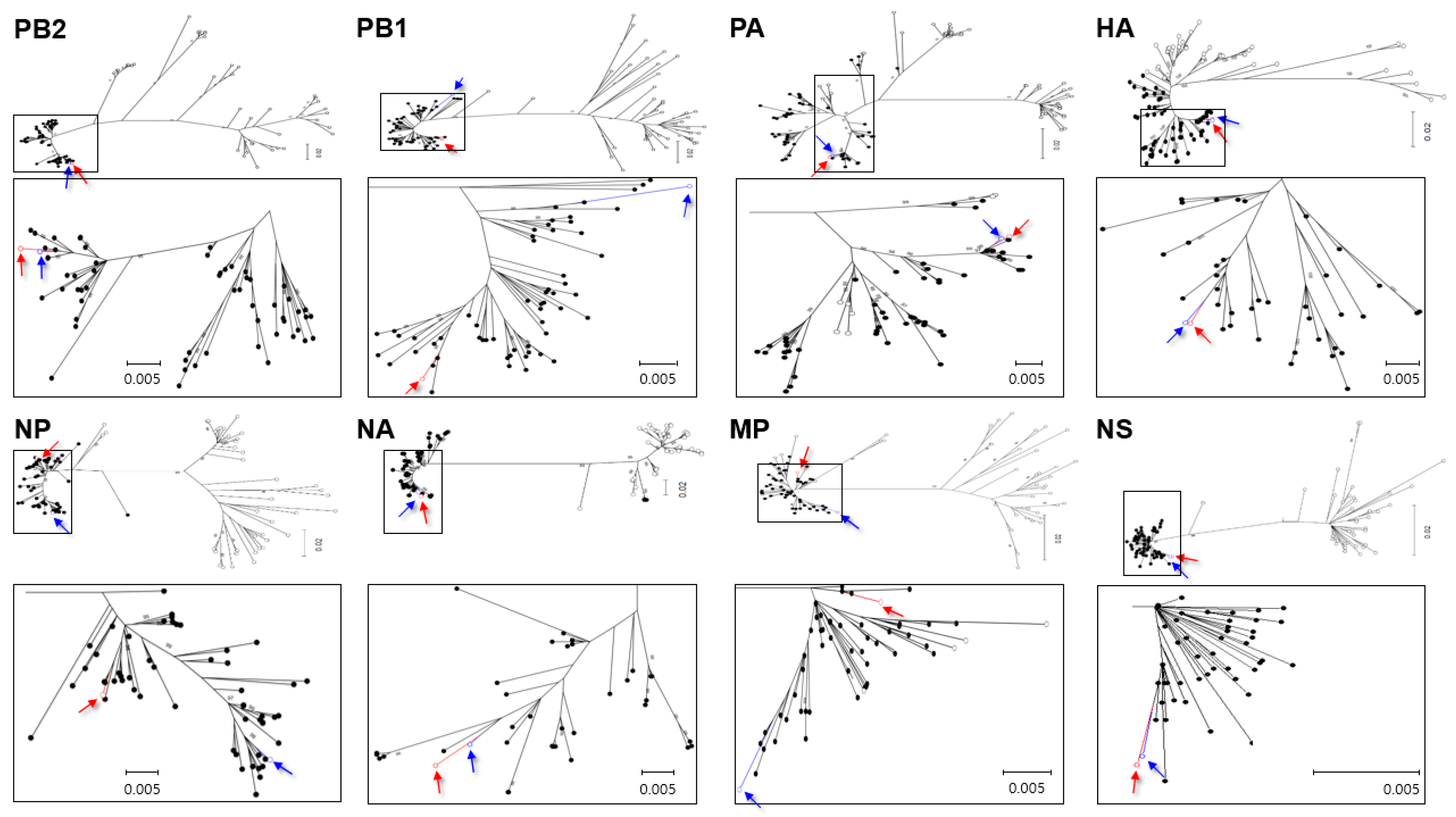 Viruses 12 00774 g001 Viruses 12 00774 g001