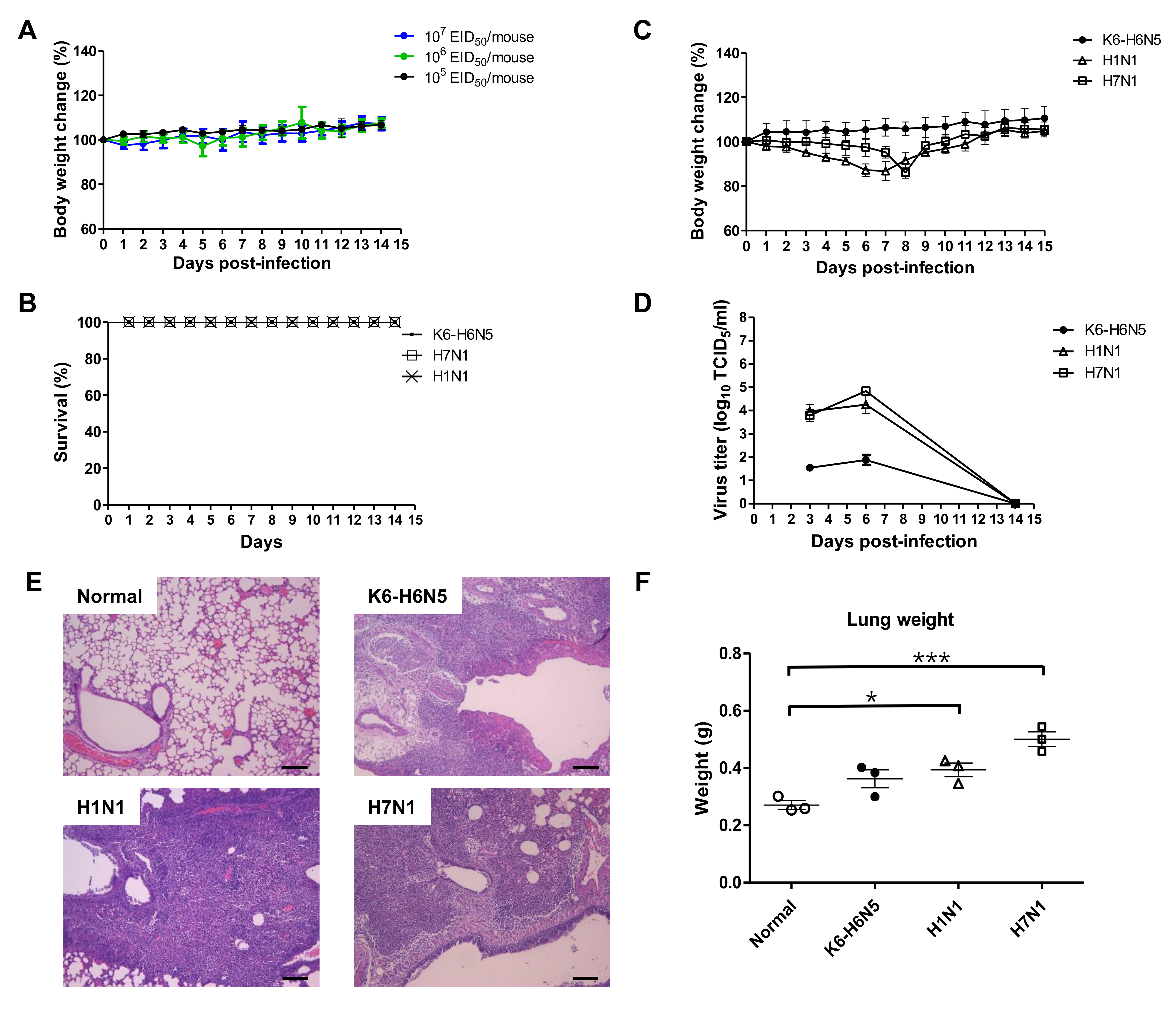 Viruses 12 00774 g003 Viruses 12 00774 g003