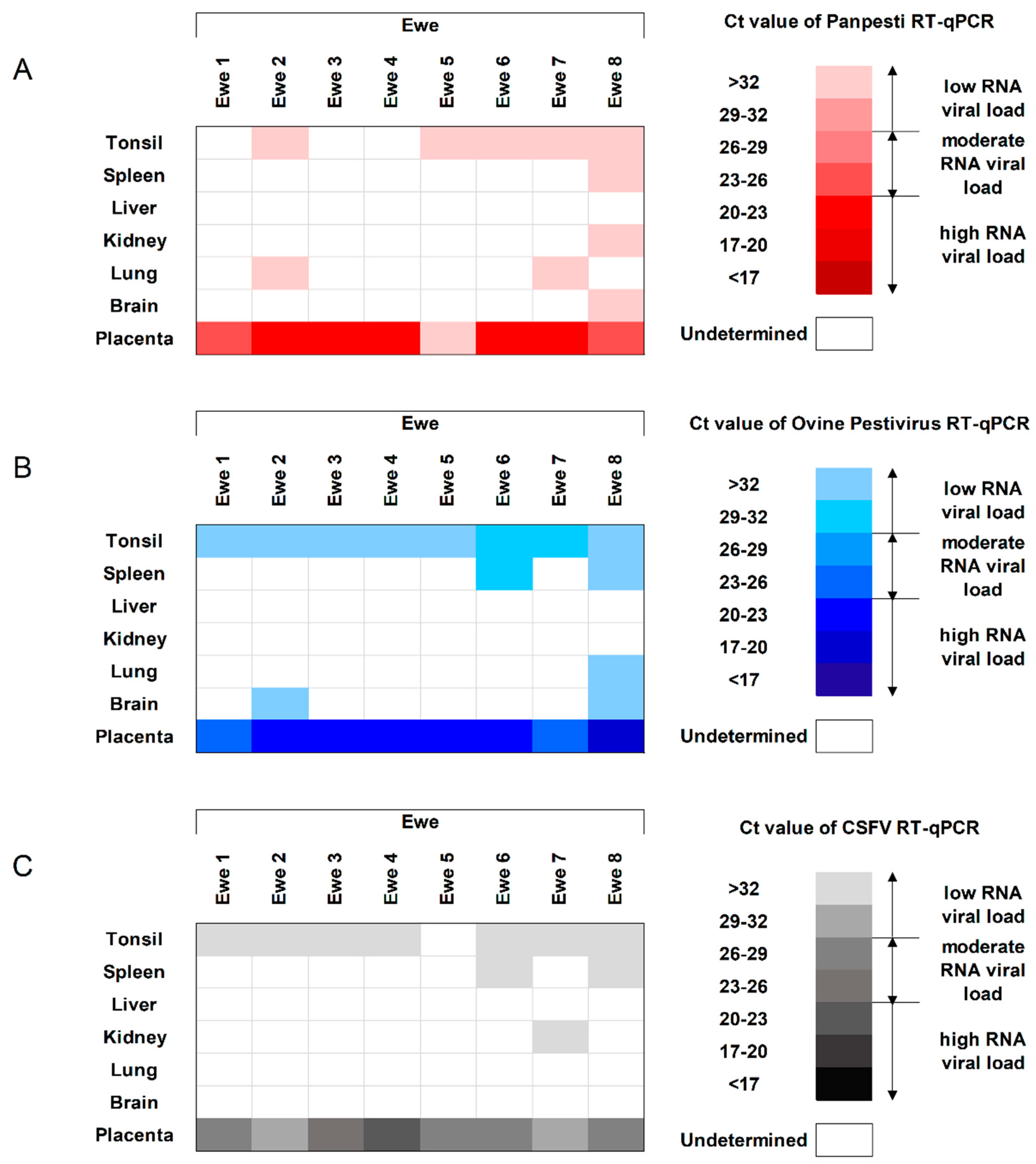 Viruses 12 00775 g003