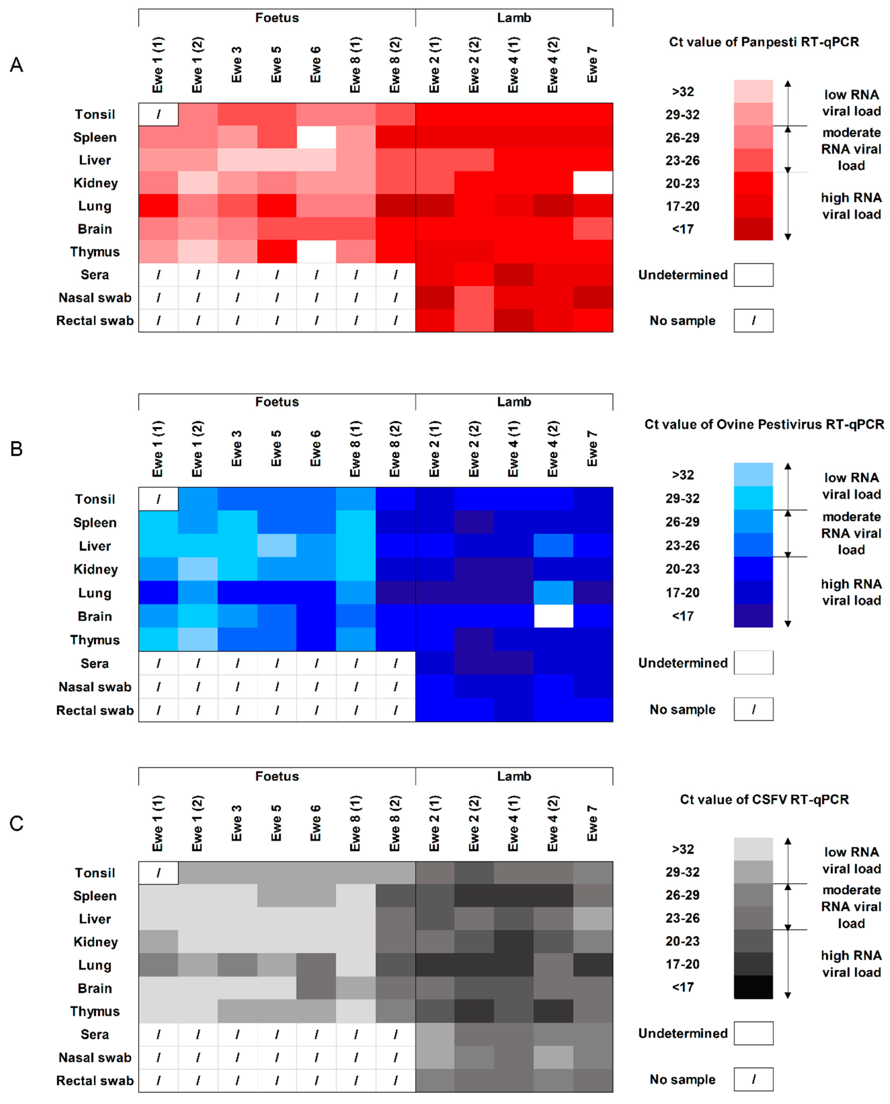 Viruses 12 00775 g004