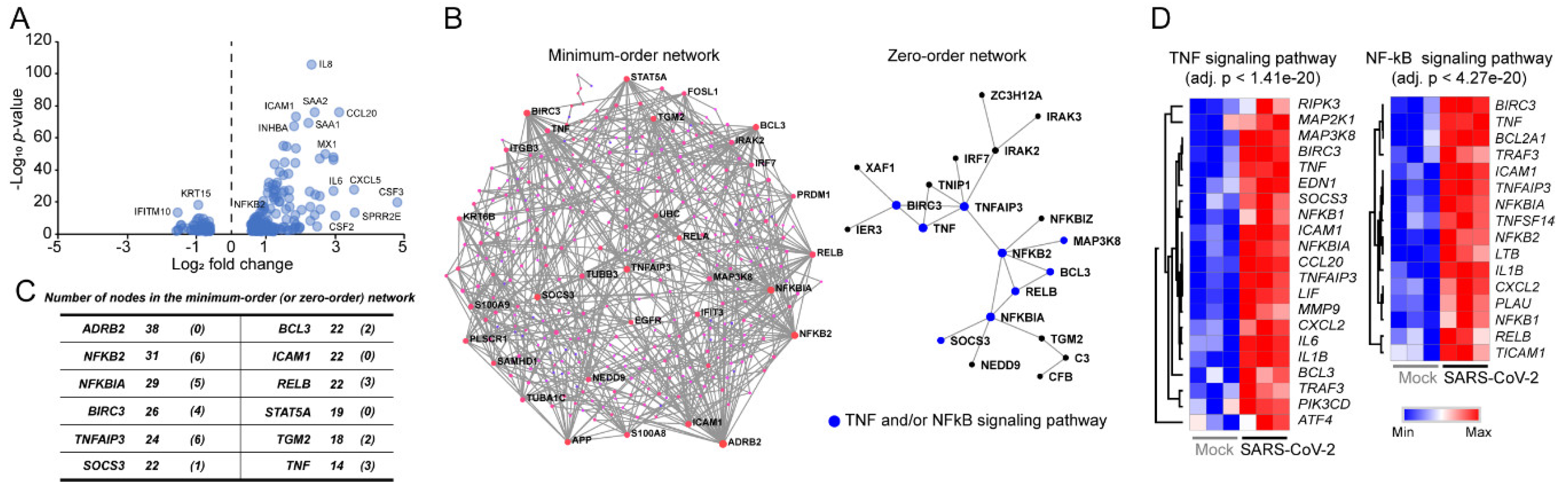 Viruses 12 00776 g001
