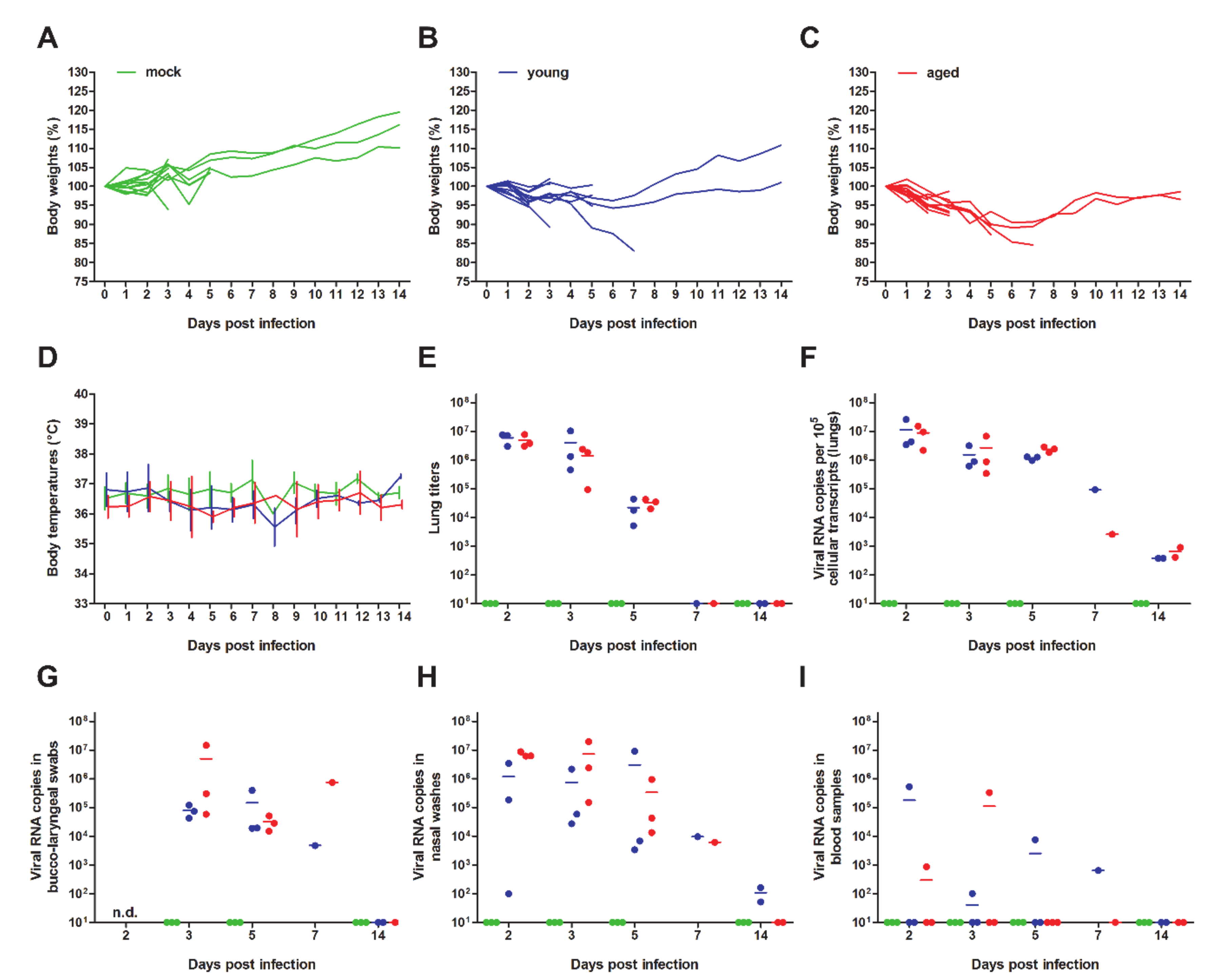 Viruses 12 00779 g001
