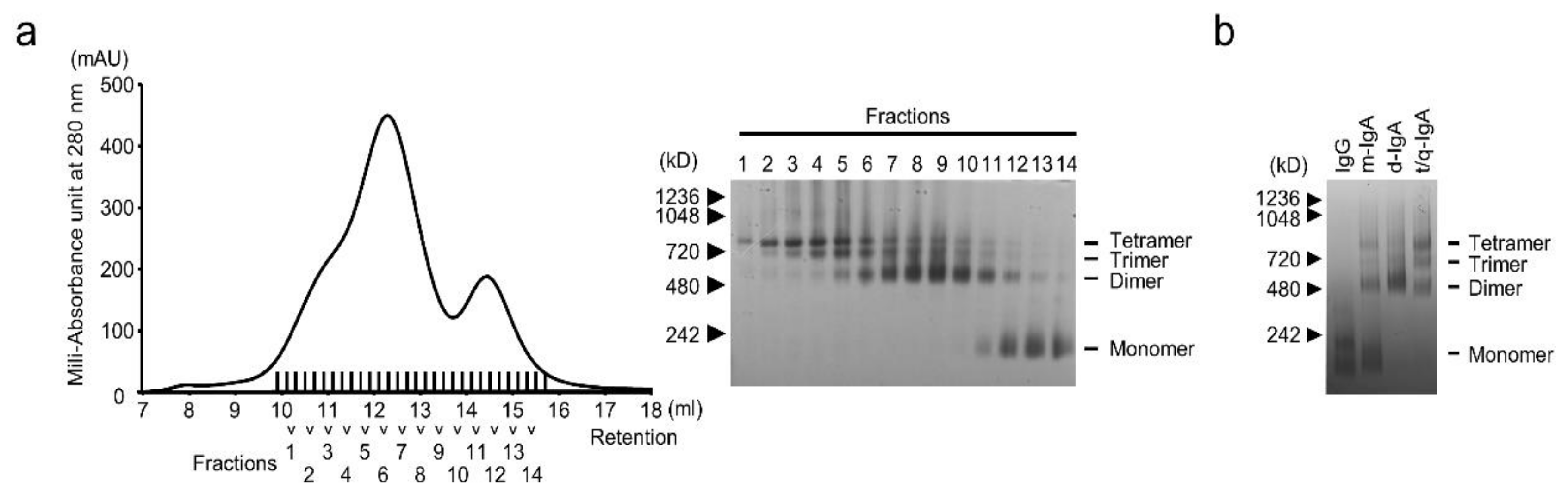 Viruses 12 00780 g001 Viruses 12 00780 g001