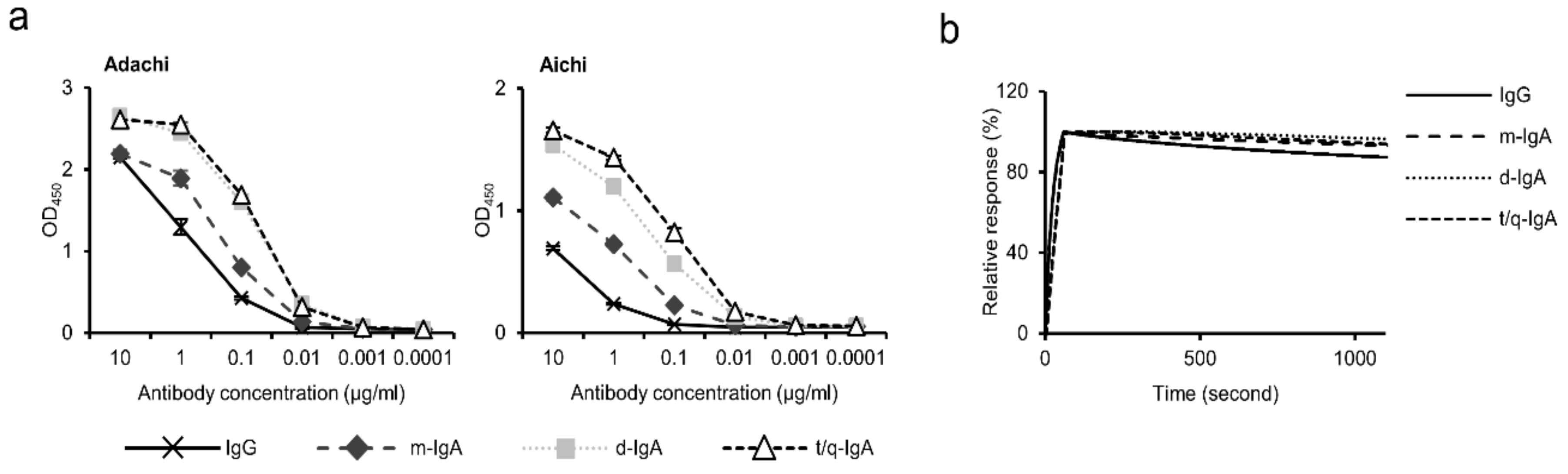 Viruses 12 00780 g002 Viruses 12 00780 g002