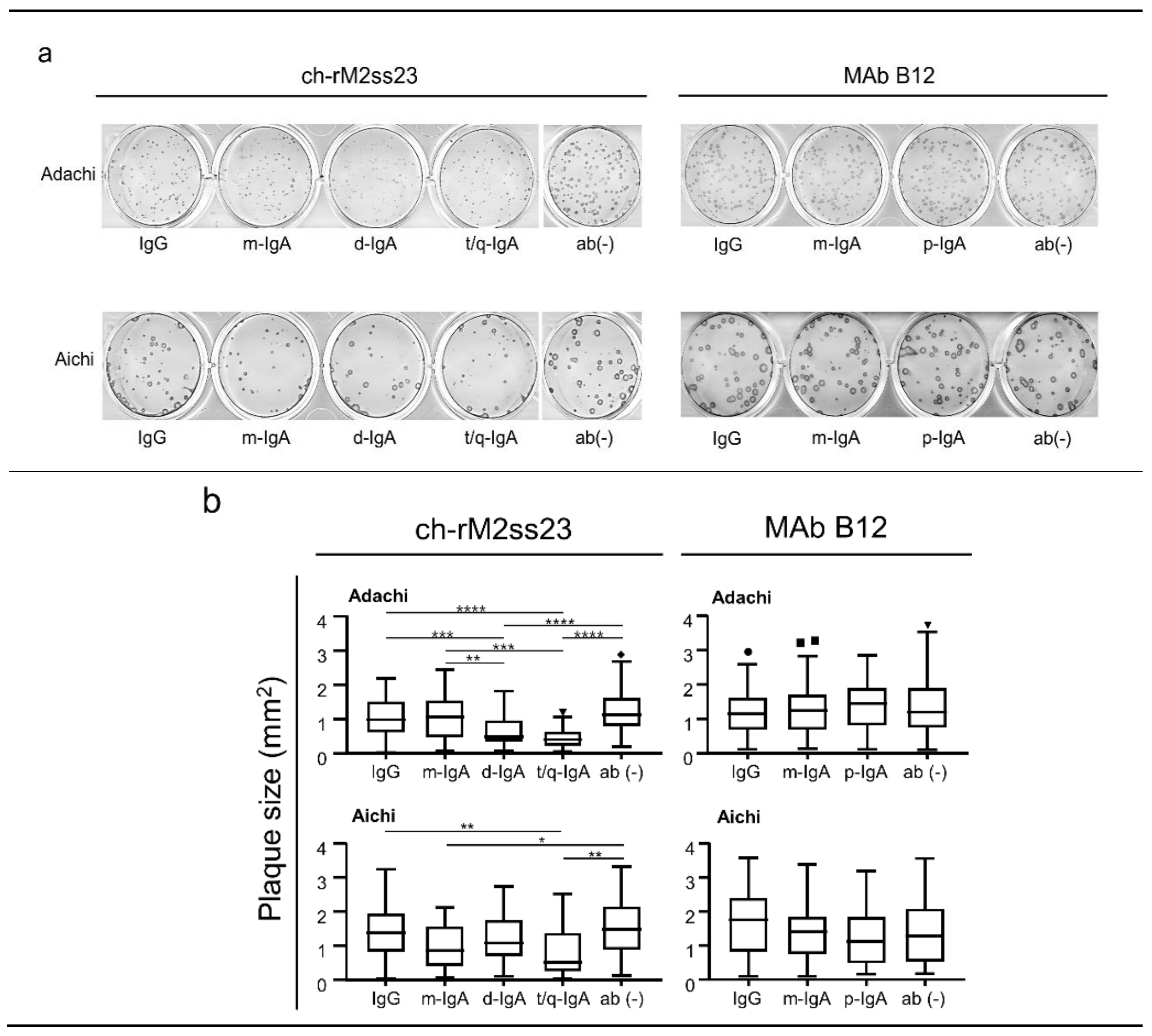 Viruses 12 00780 g004 Viruses 12 00780 g004
