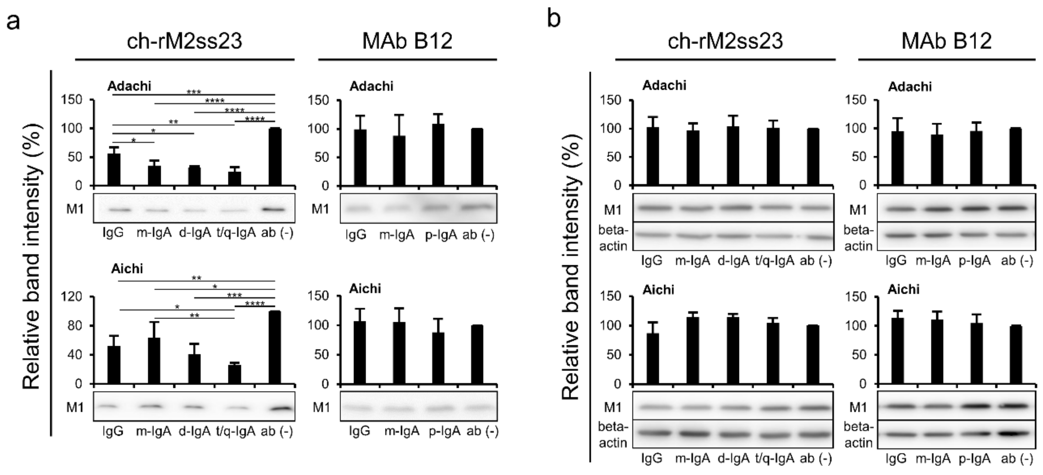 Viruses 12 00780 g005 Viruses 12 00780 g005
