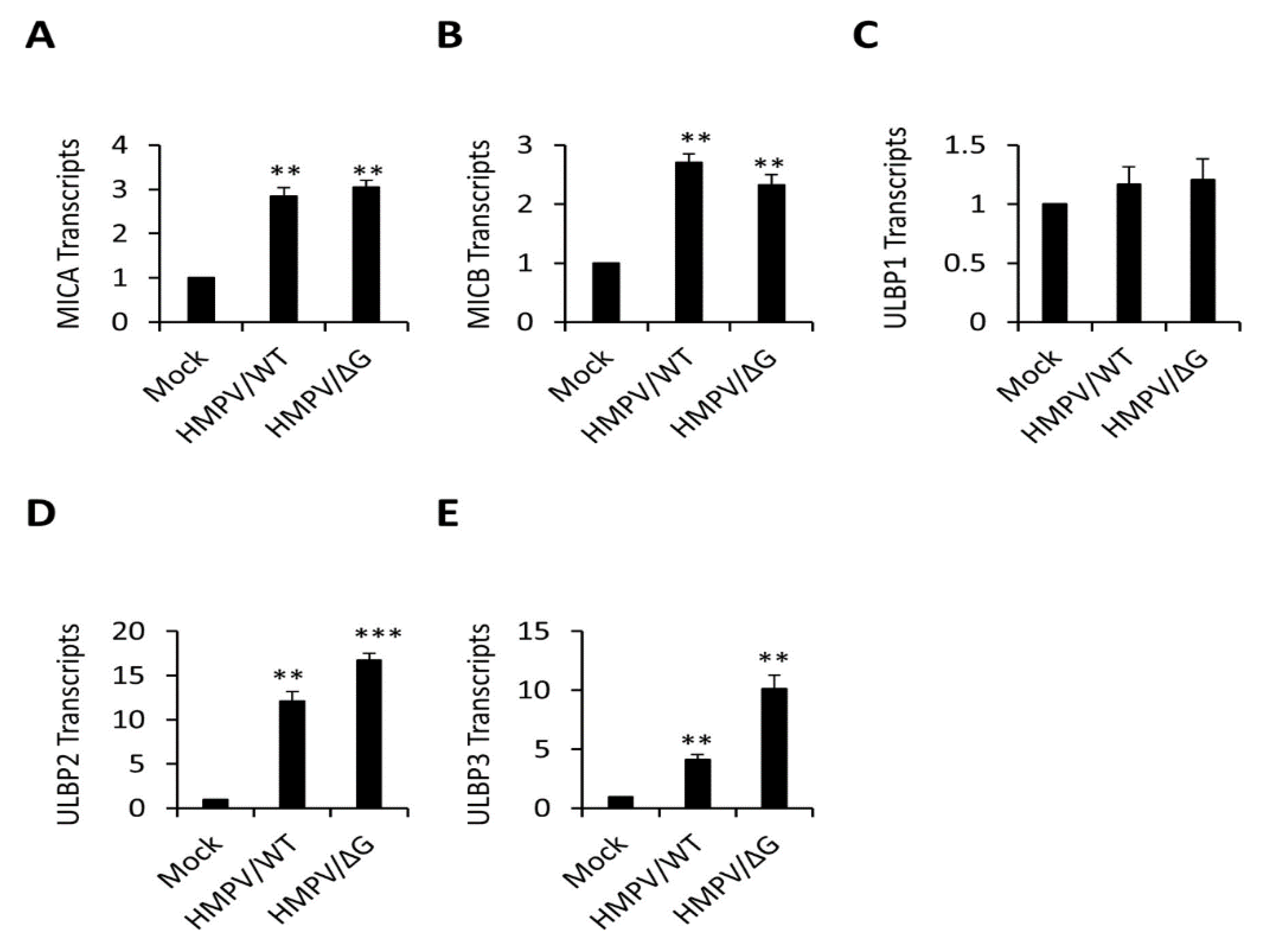 Viruses 12 00781 g003 Viruses 12 00781 g003