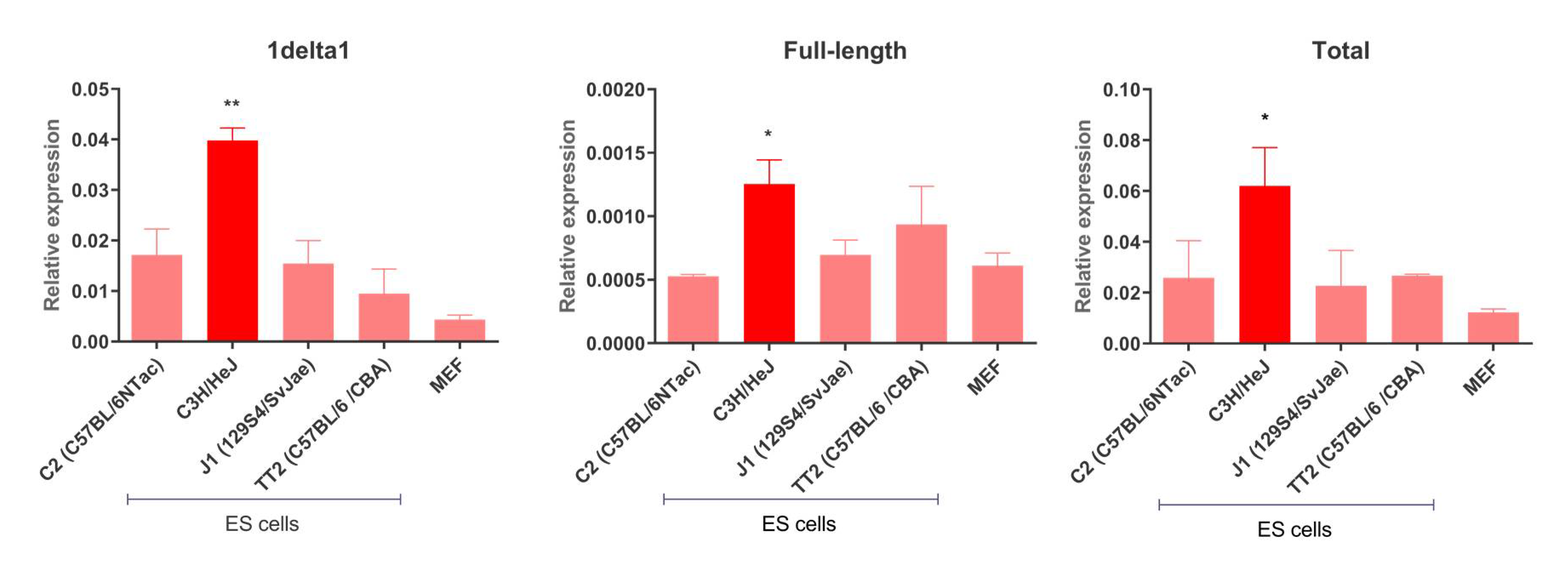 Viruses 12 00783 g002 Viruses 12 00783 g002