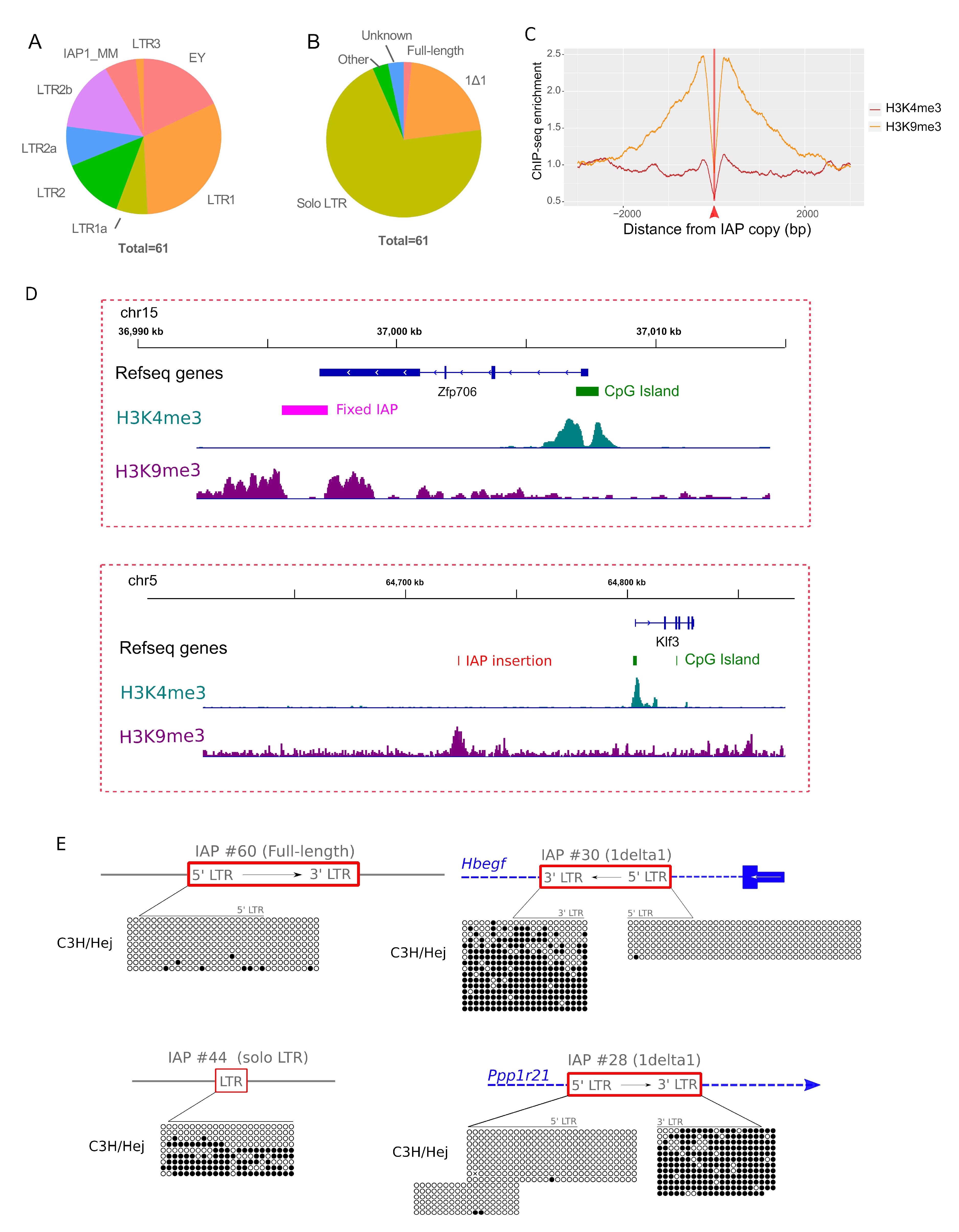 Viruses 12 00783 g003 Viruses 12 00783 g003