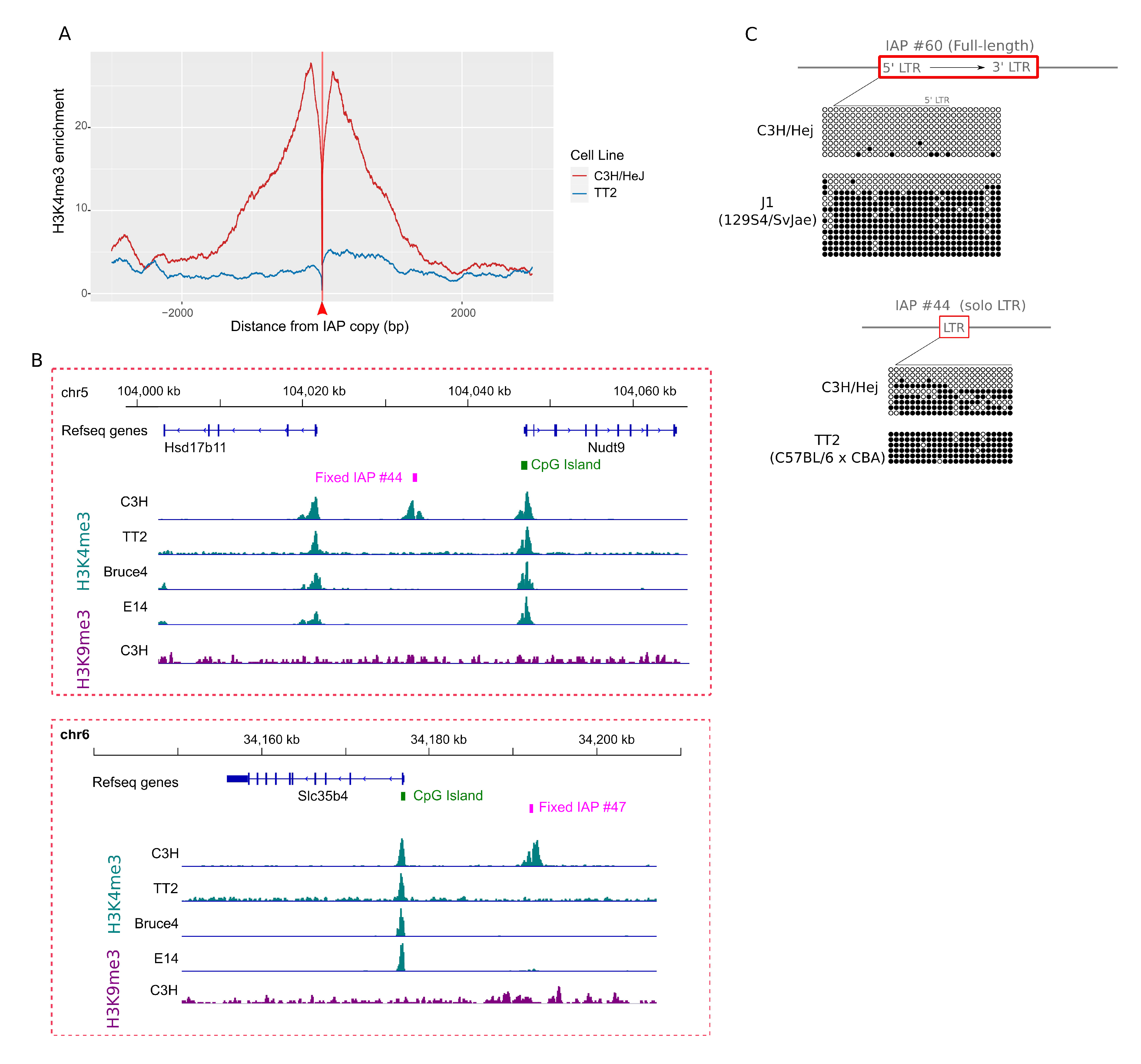 Viruses 12 00783 g005 Viruses 12 00783 g005