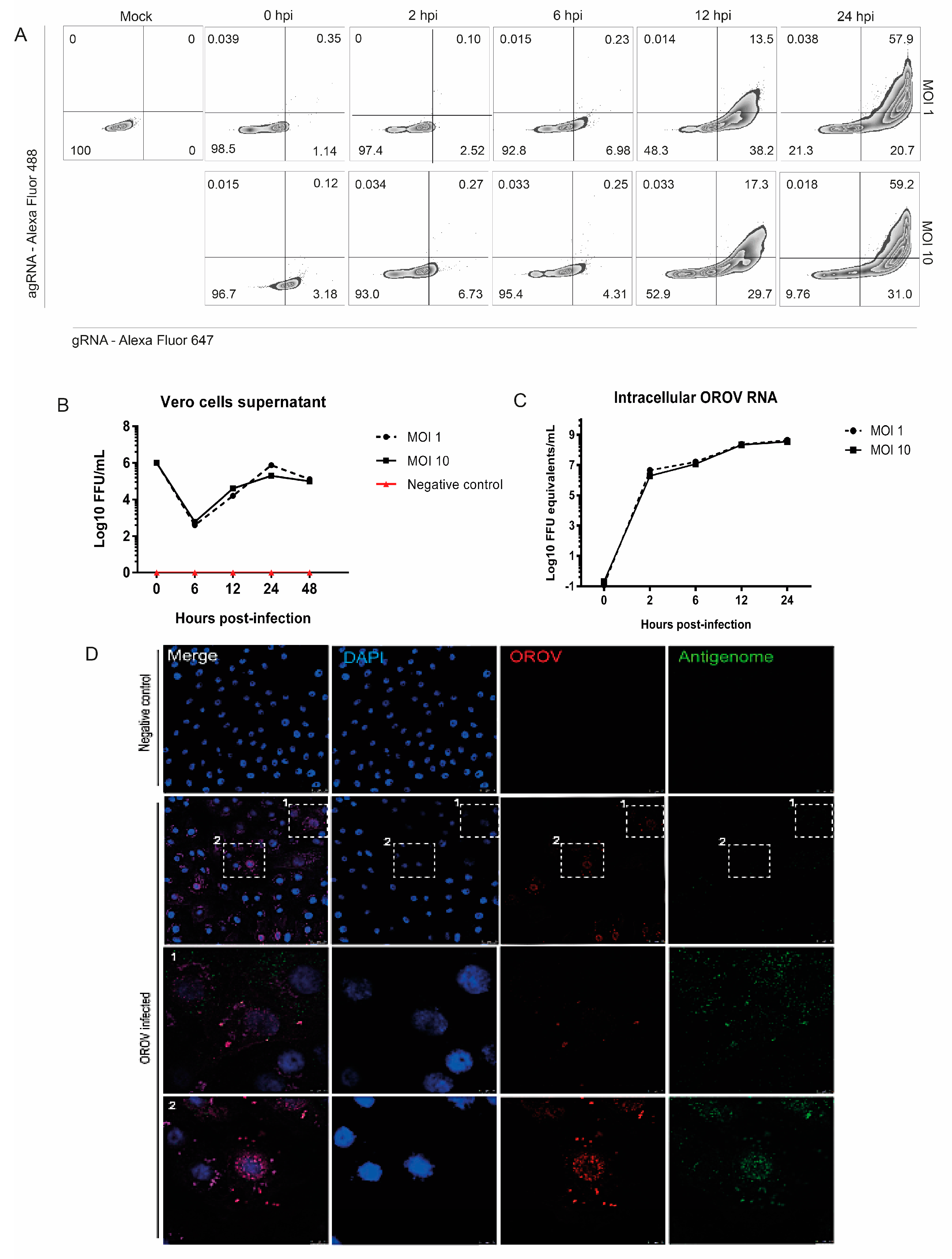 Viruses 12 00785 g001 Viruses 12 00785 g001