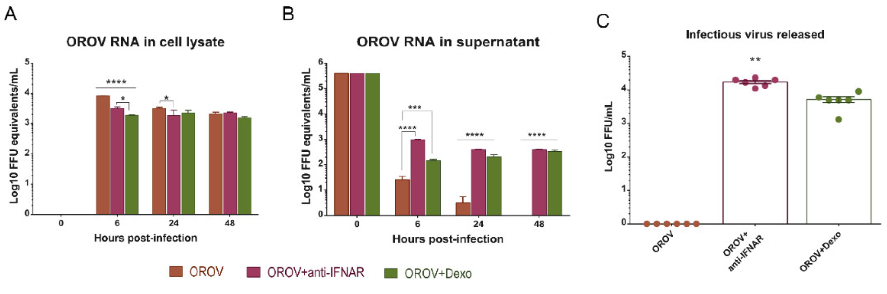 Viruses 12 00785 g005 Viruses 12 00785 g005