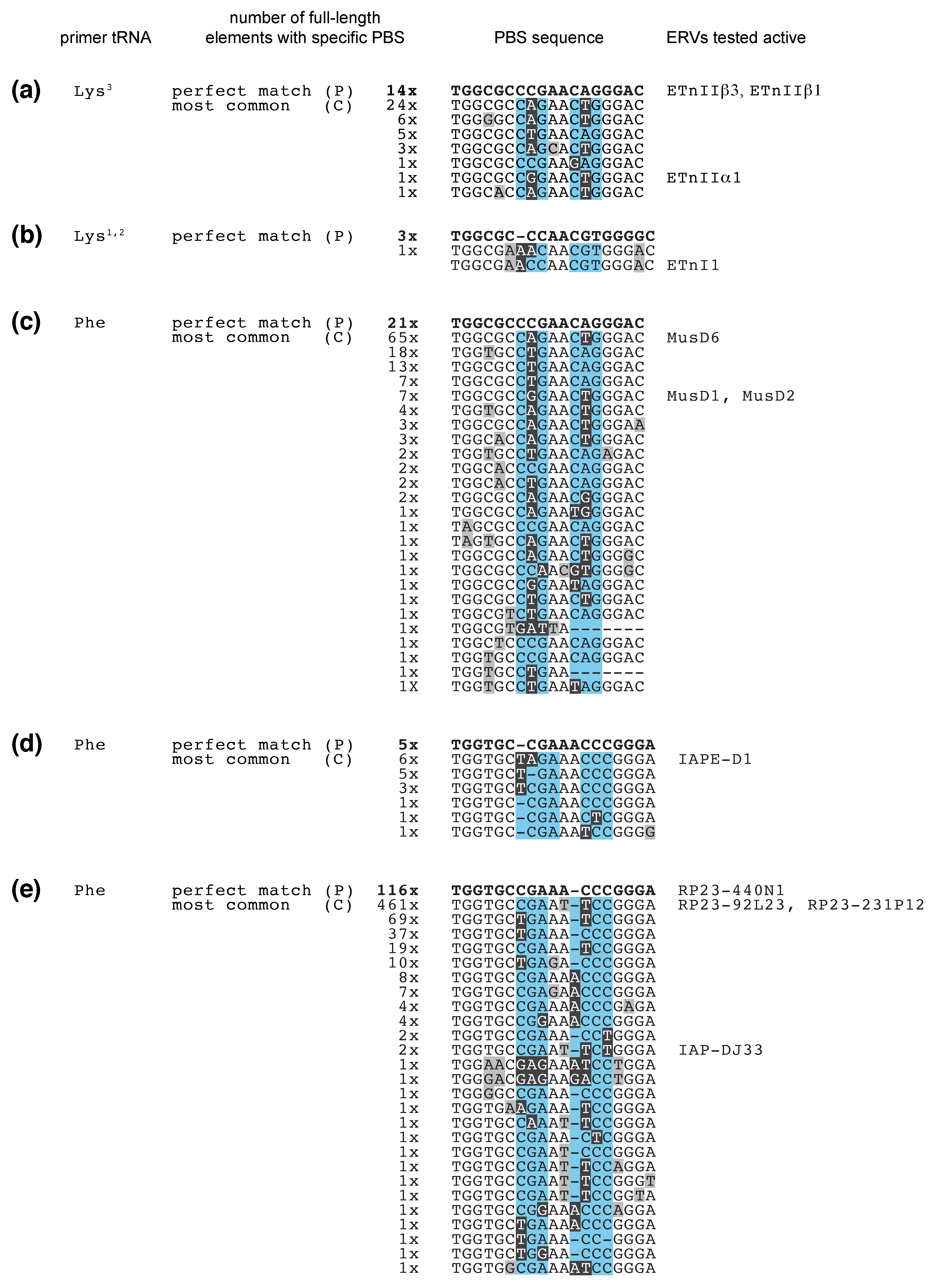 Viruses 12 00792 g002 Viruses 12 00792 g002