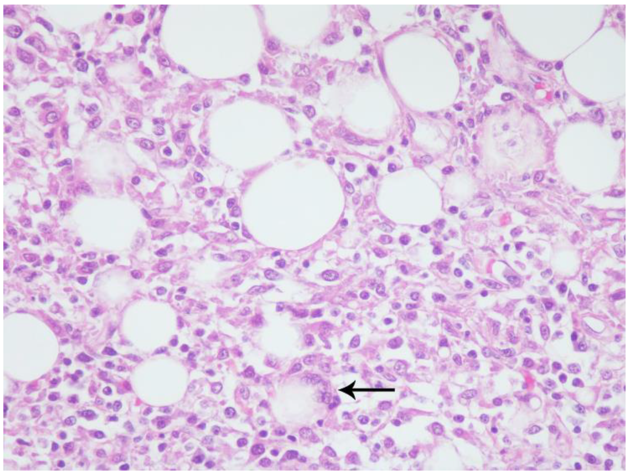 Viruses 12 00793 g003