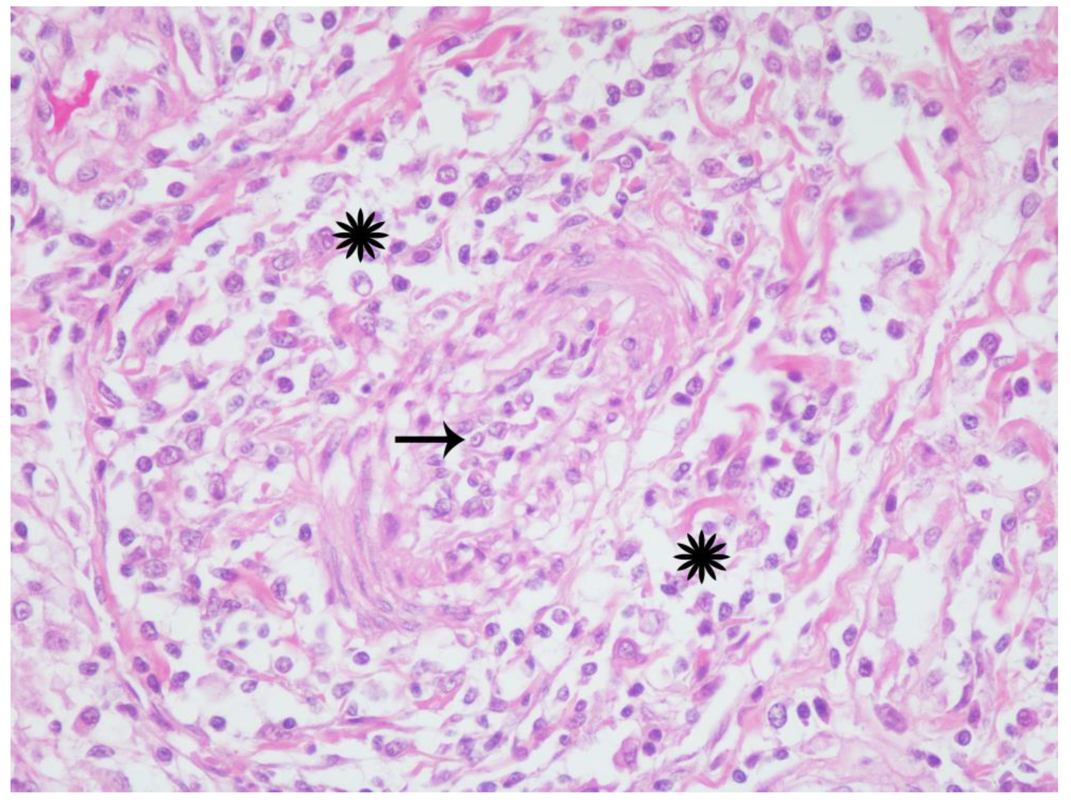 Viruses 12 00793 g004