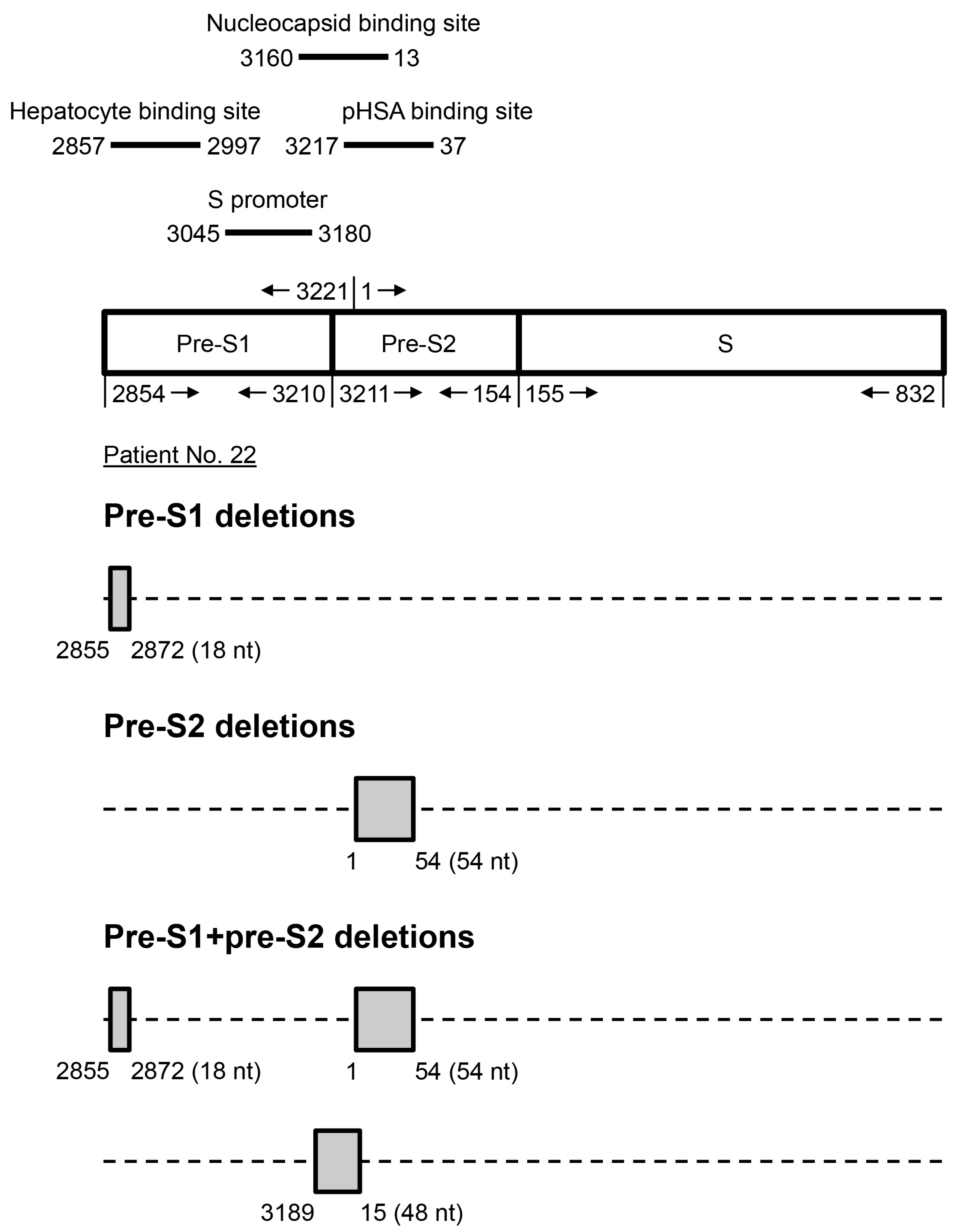 Viruses 12 00796 g001 Viruses 12 00796 g001