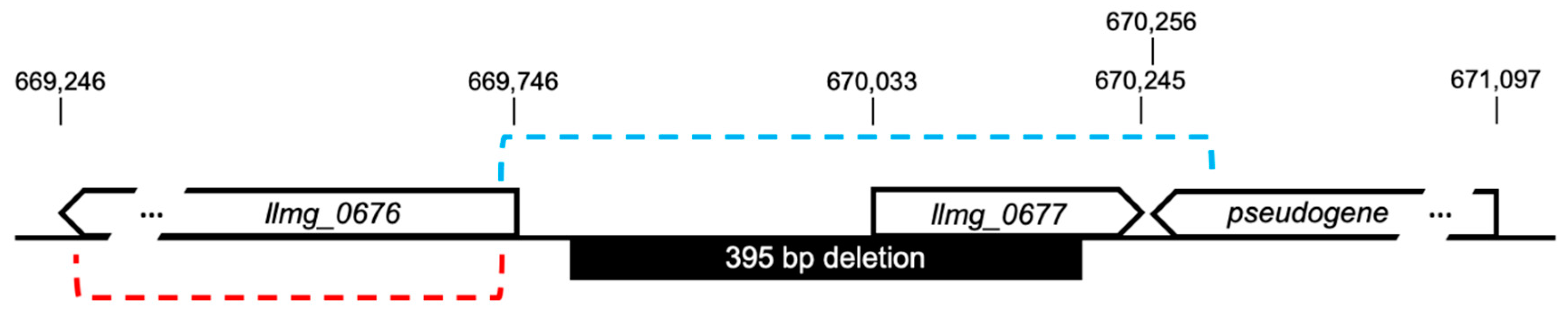 Viruses 12 00797 g004