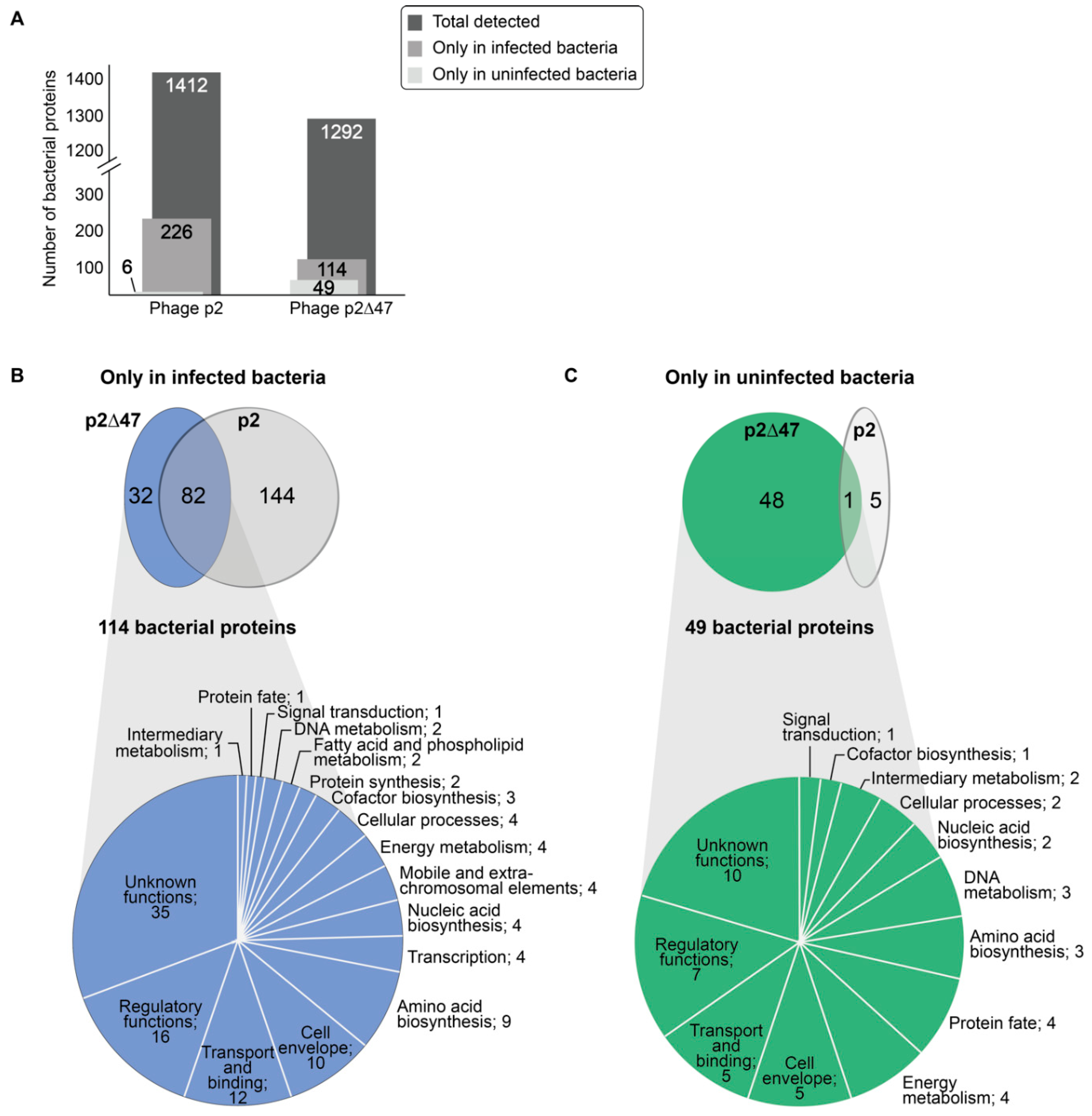 Viruses 12 00797 g005