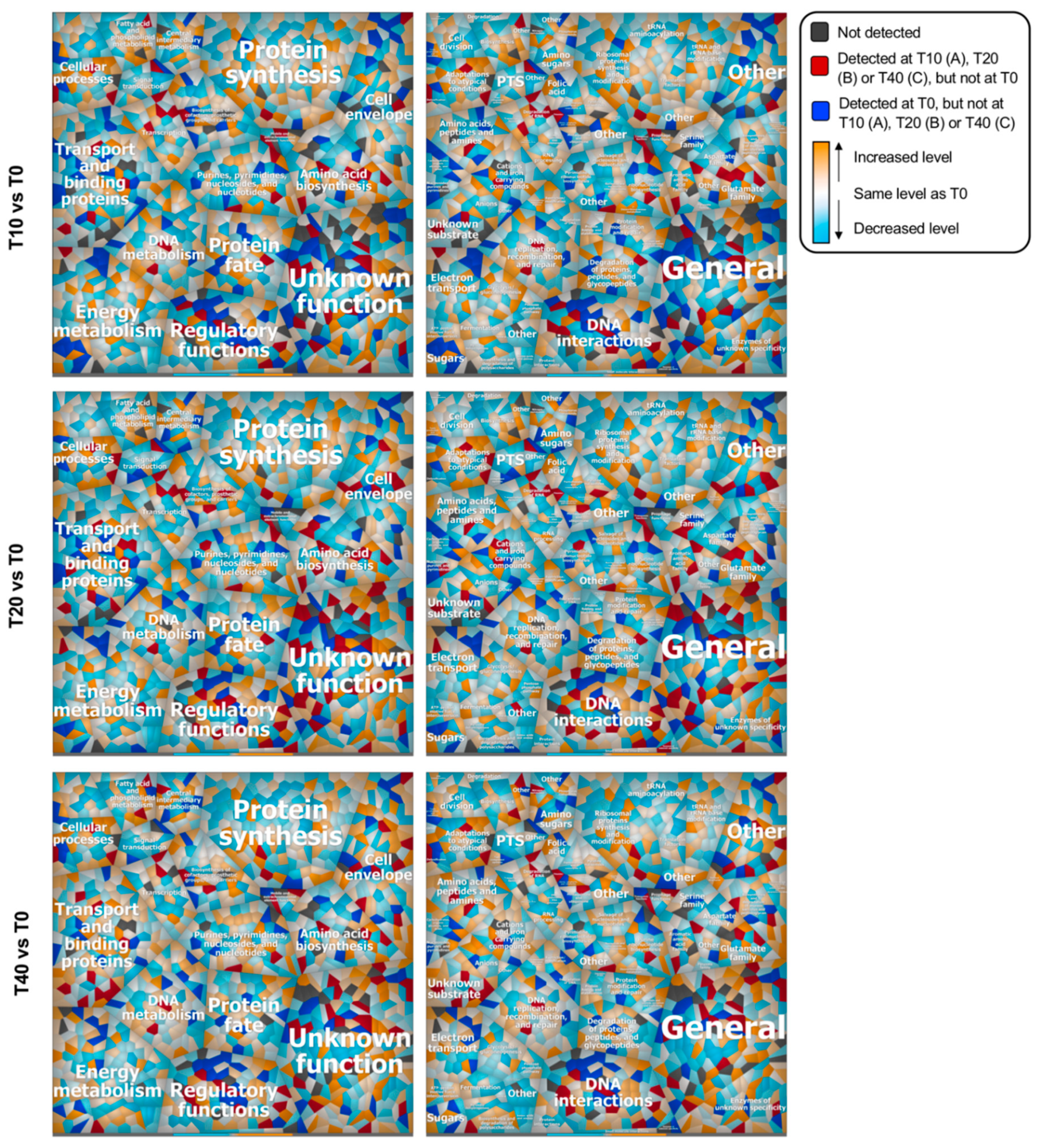 Viruses 12 00797 g006