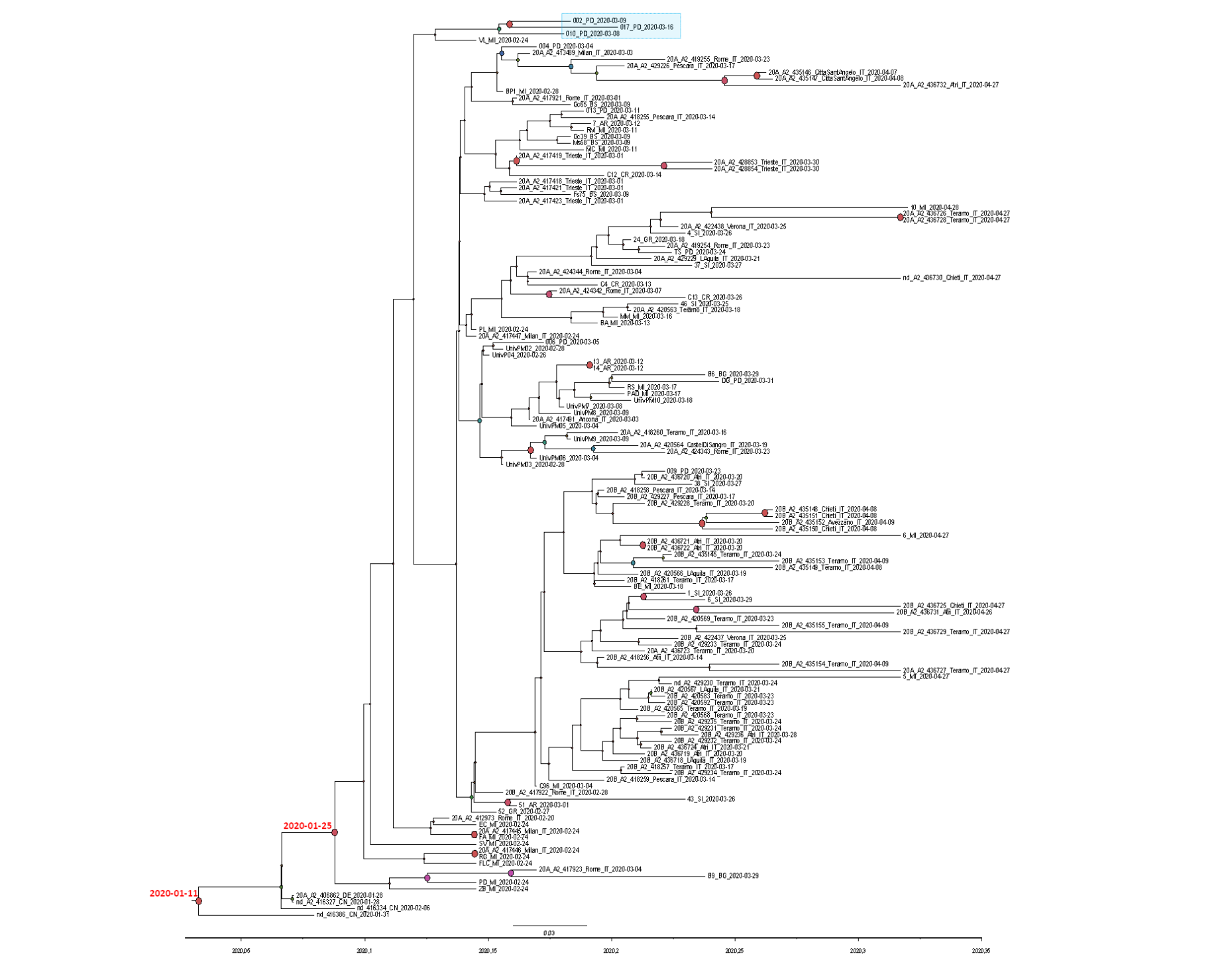 Viruses 12 00798 g002 Viruses 12 00798 g002