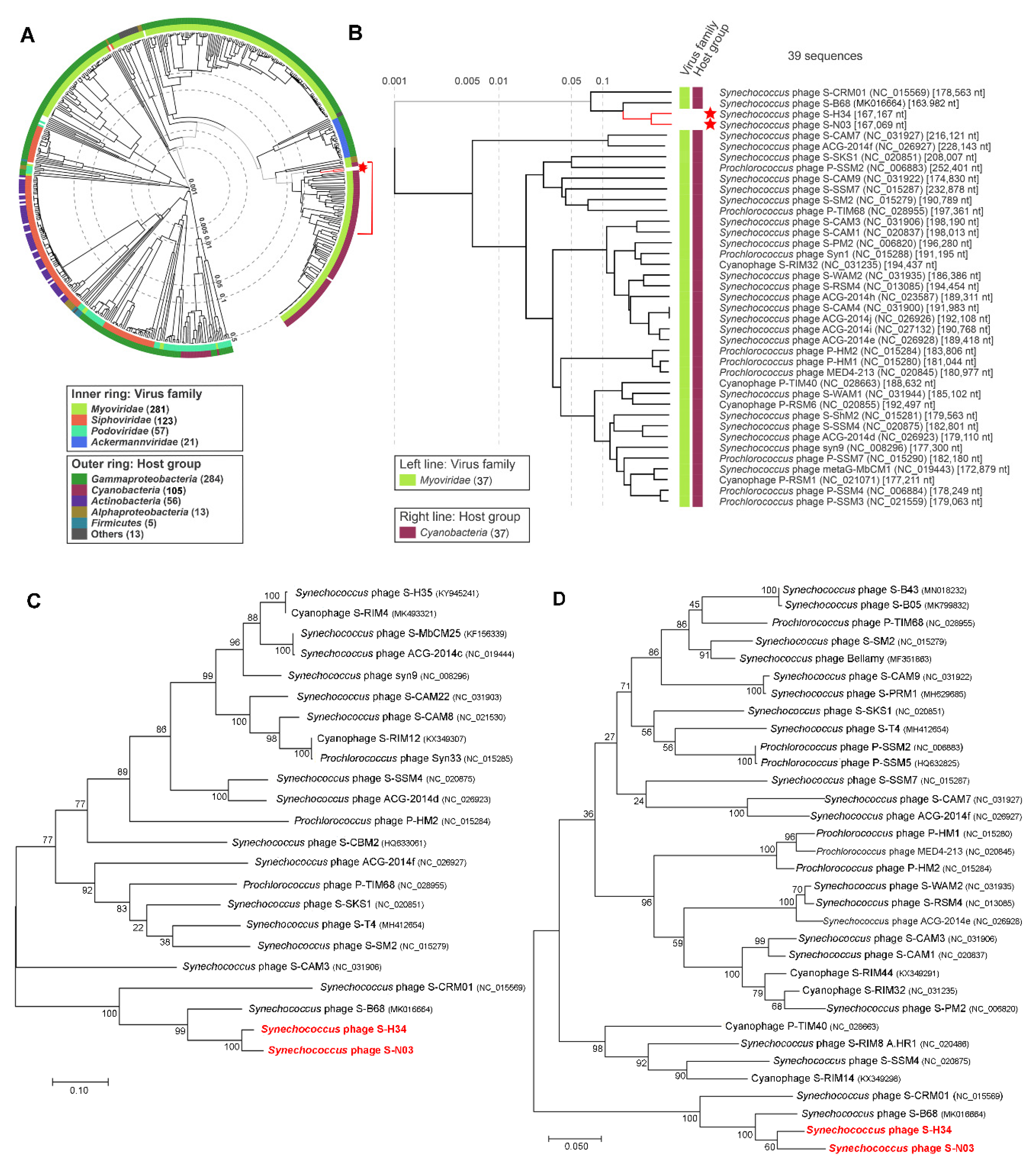 Viruses 12 00800 g002 Viruses 12 00800 g002