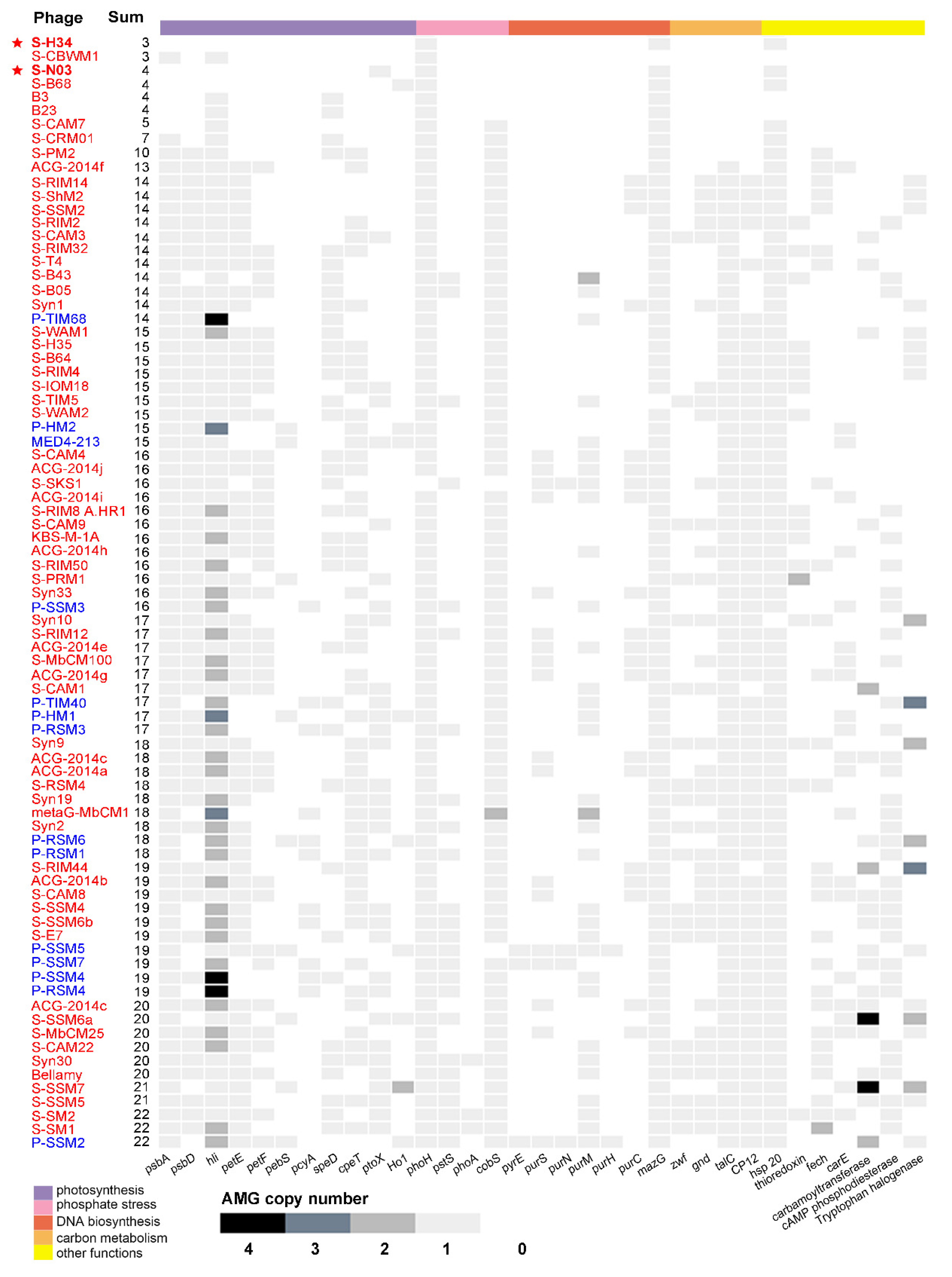 Viruses 12 00800 g003 Viruses 12 00800 g003