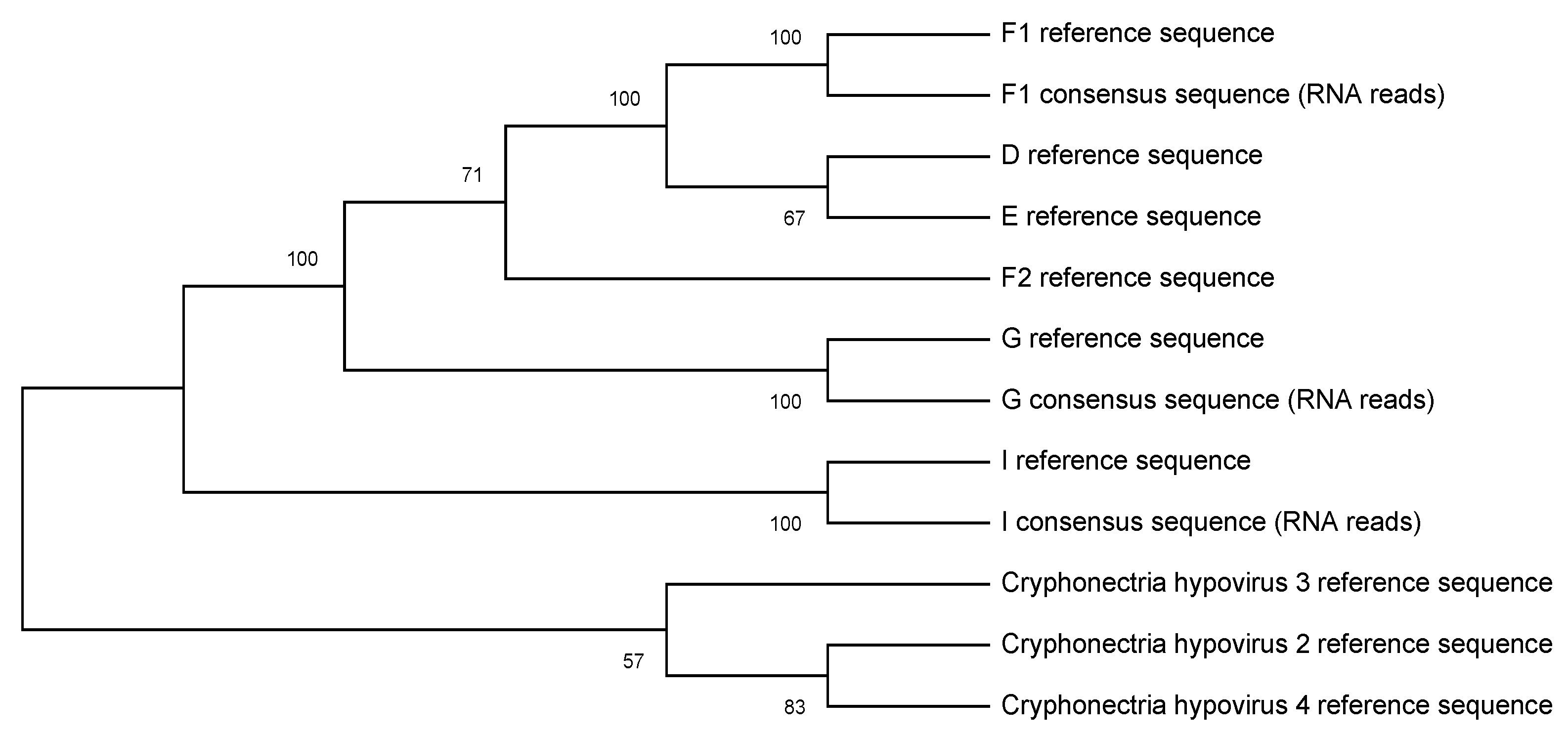 Viruses 12 00801 g001 Viruses 12 00801 g001