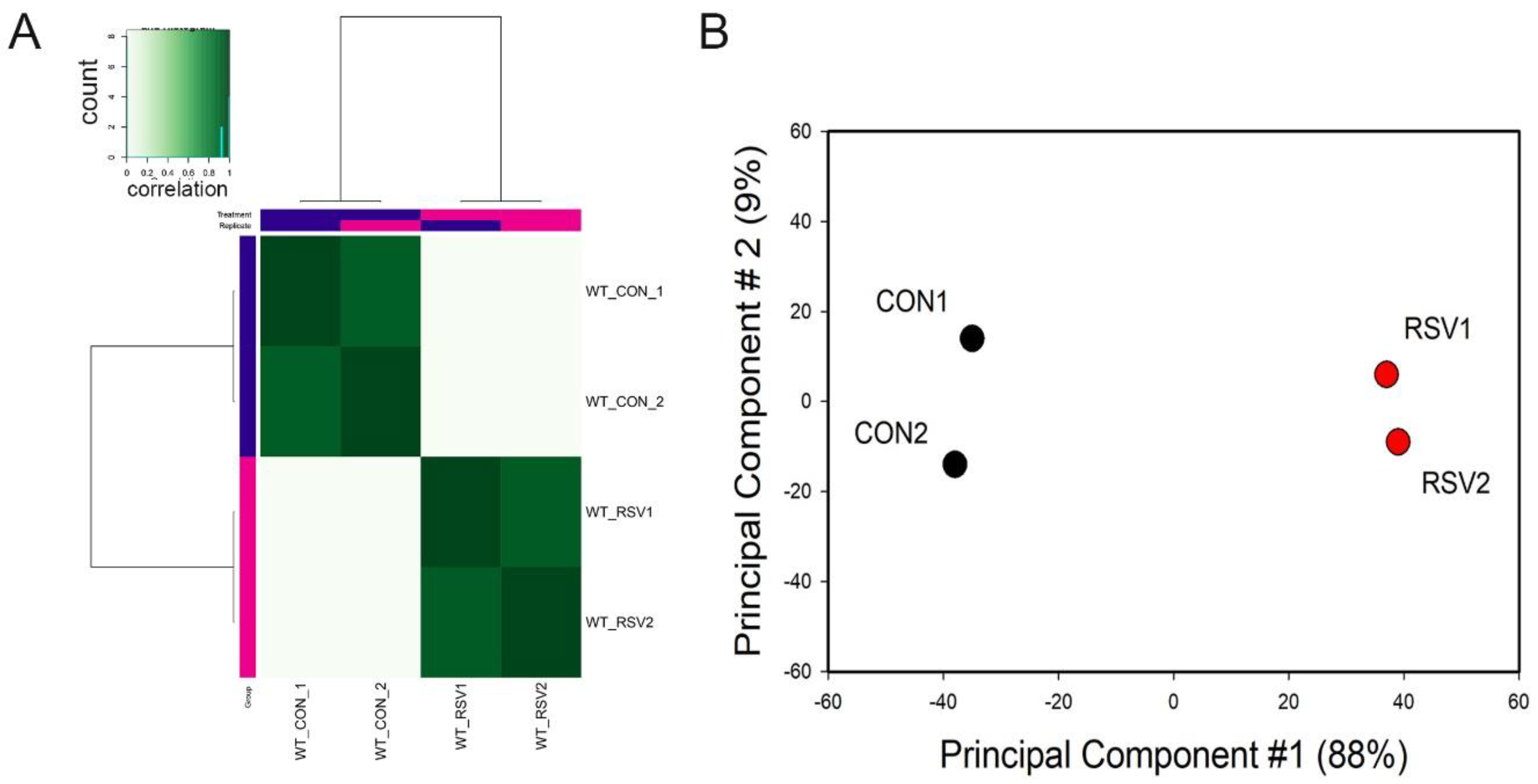 Viruses 12 00804 g001