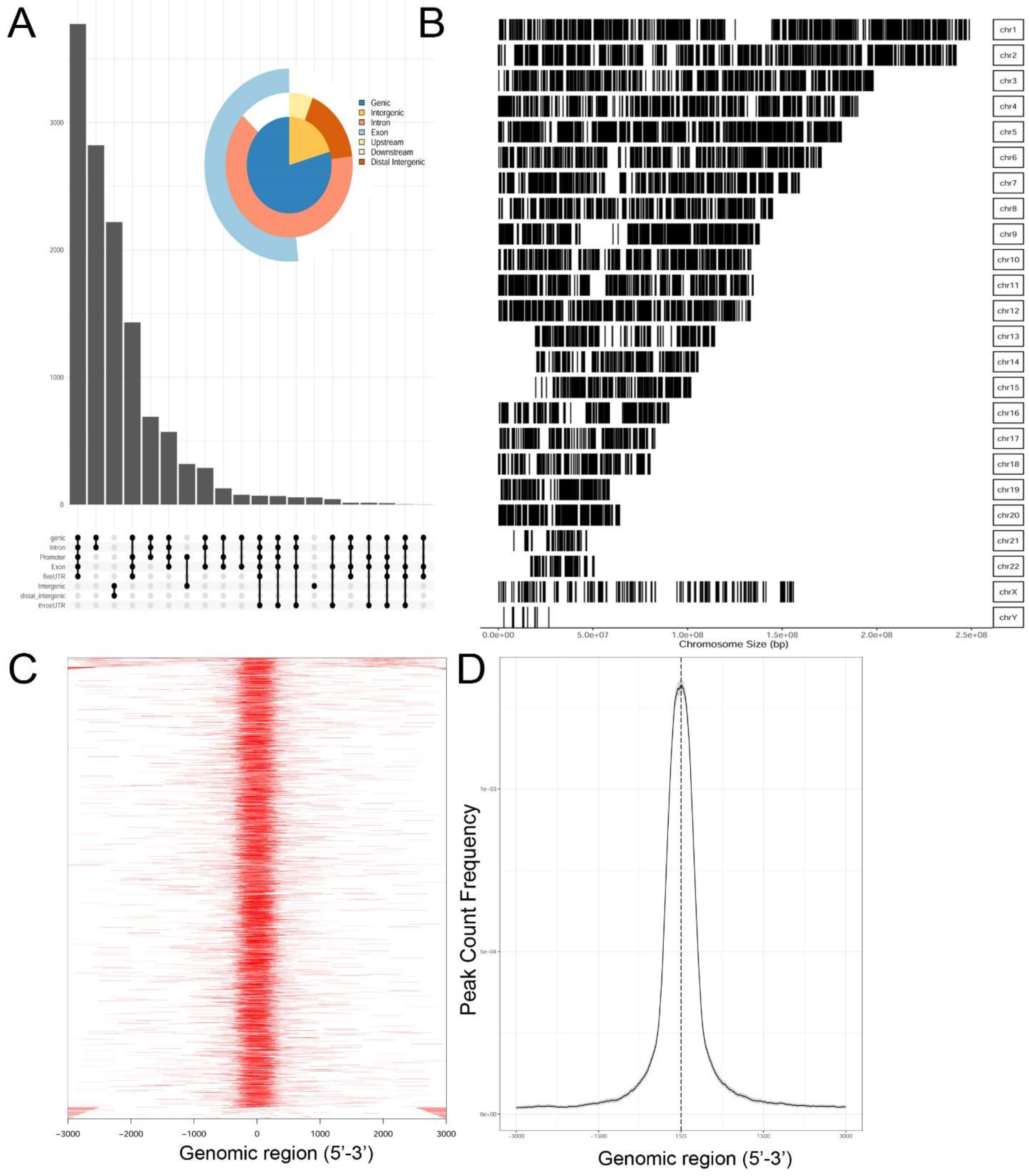 Viruses 12 00804 g002