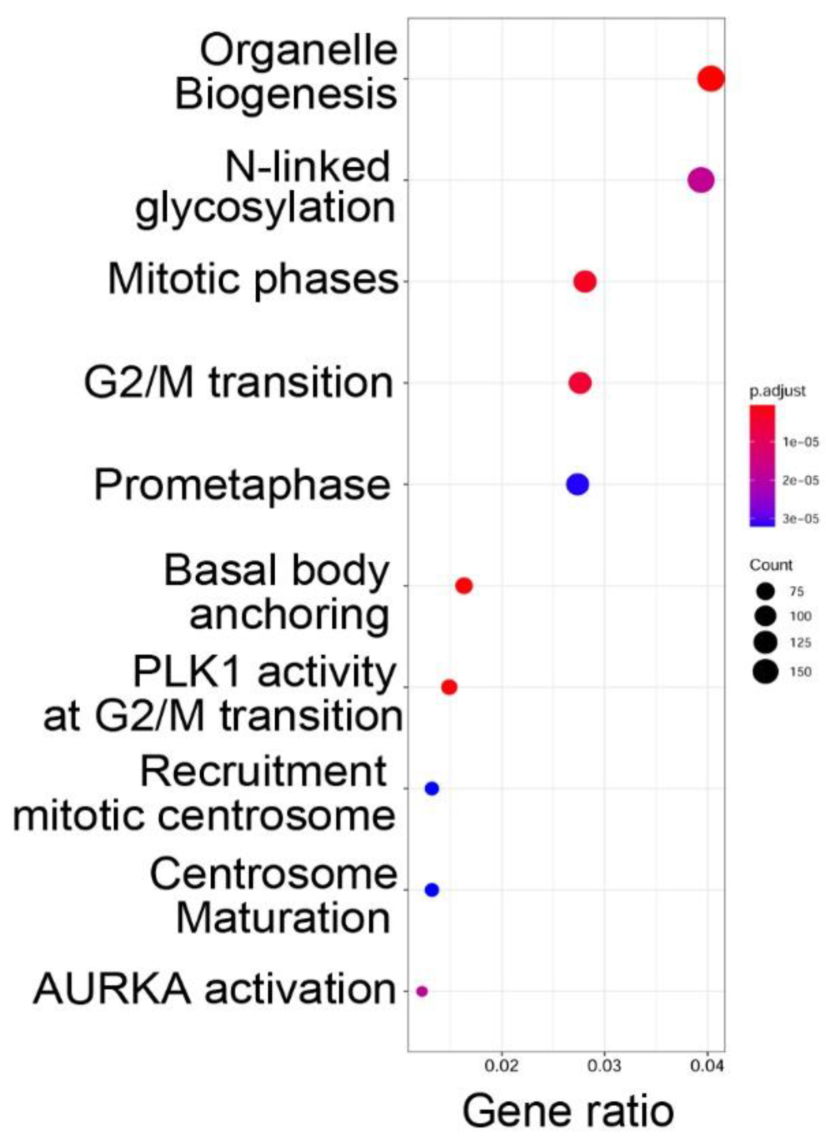 Viruses 12 00804 g003