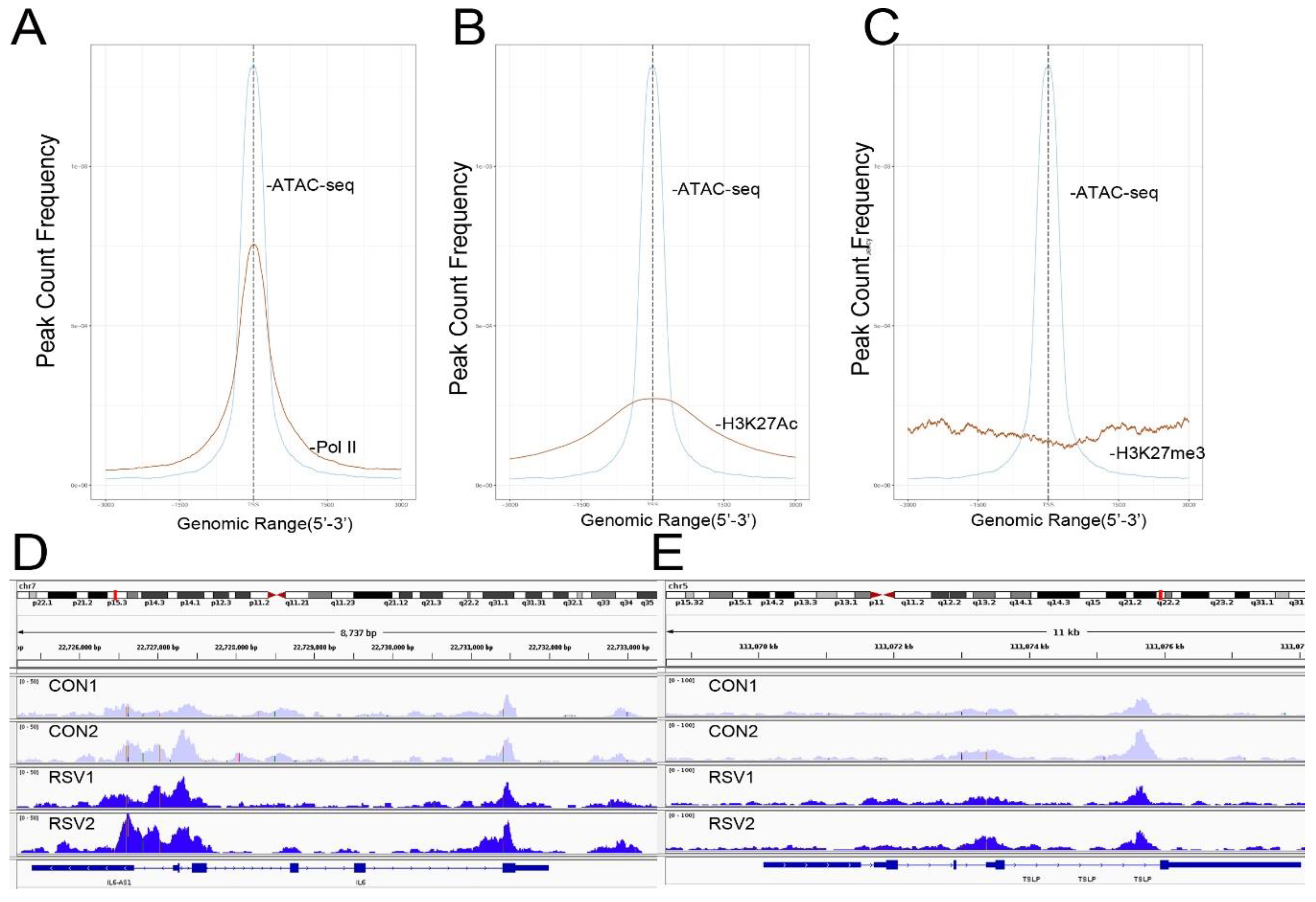 Viruses 12 00804 g004