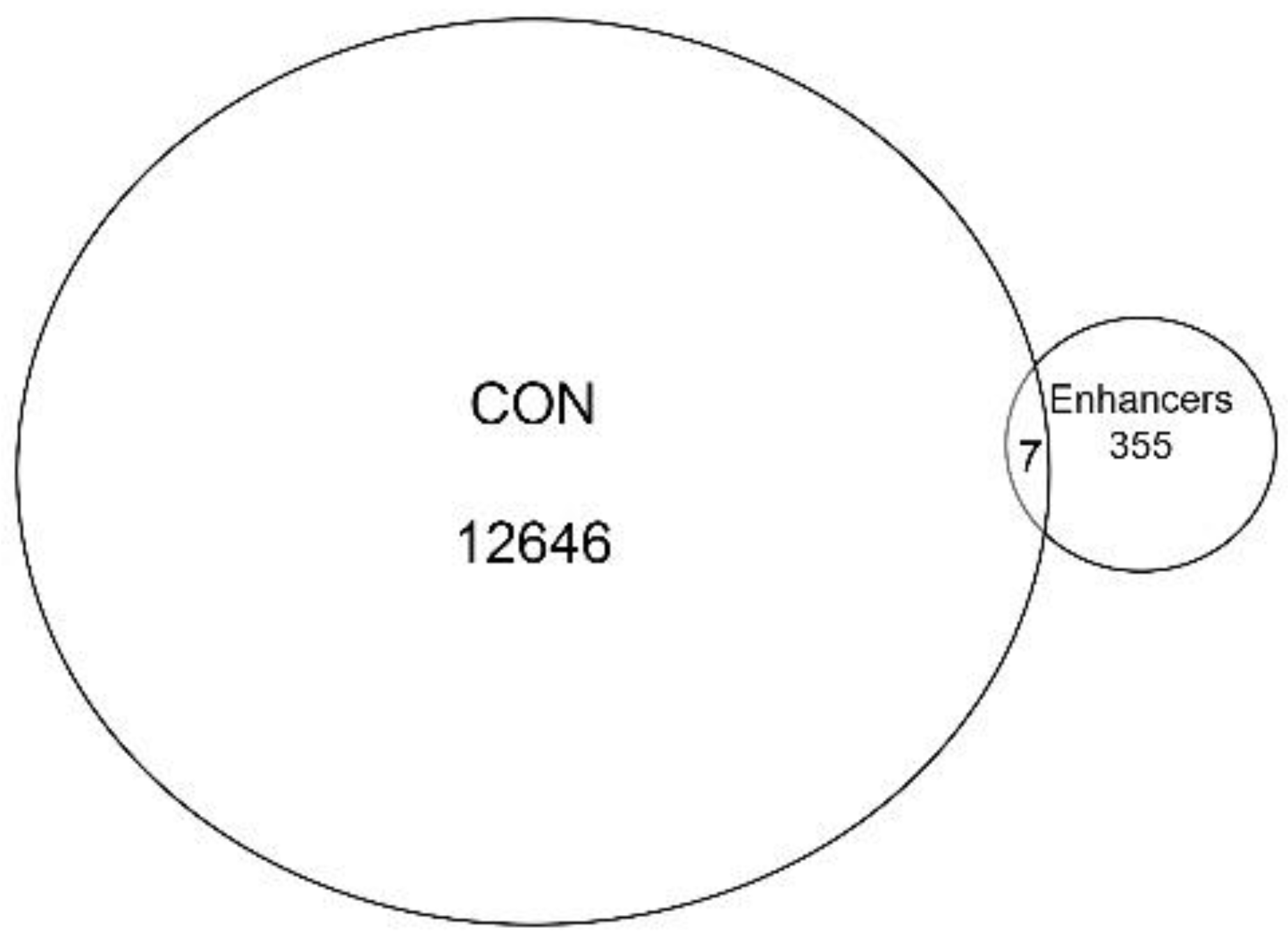 Viruses 12 00804 g005