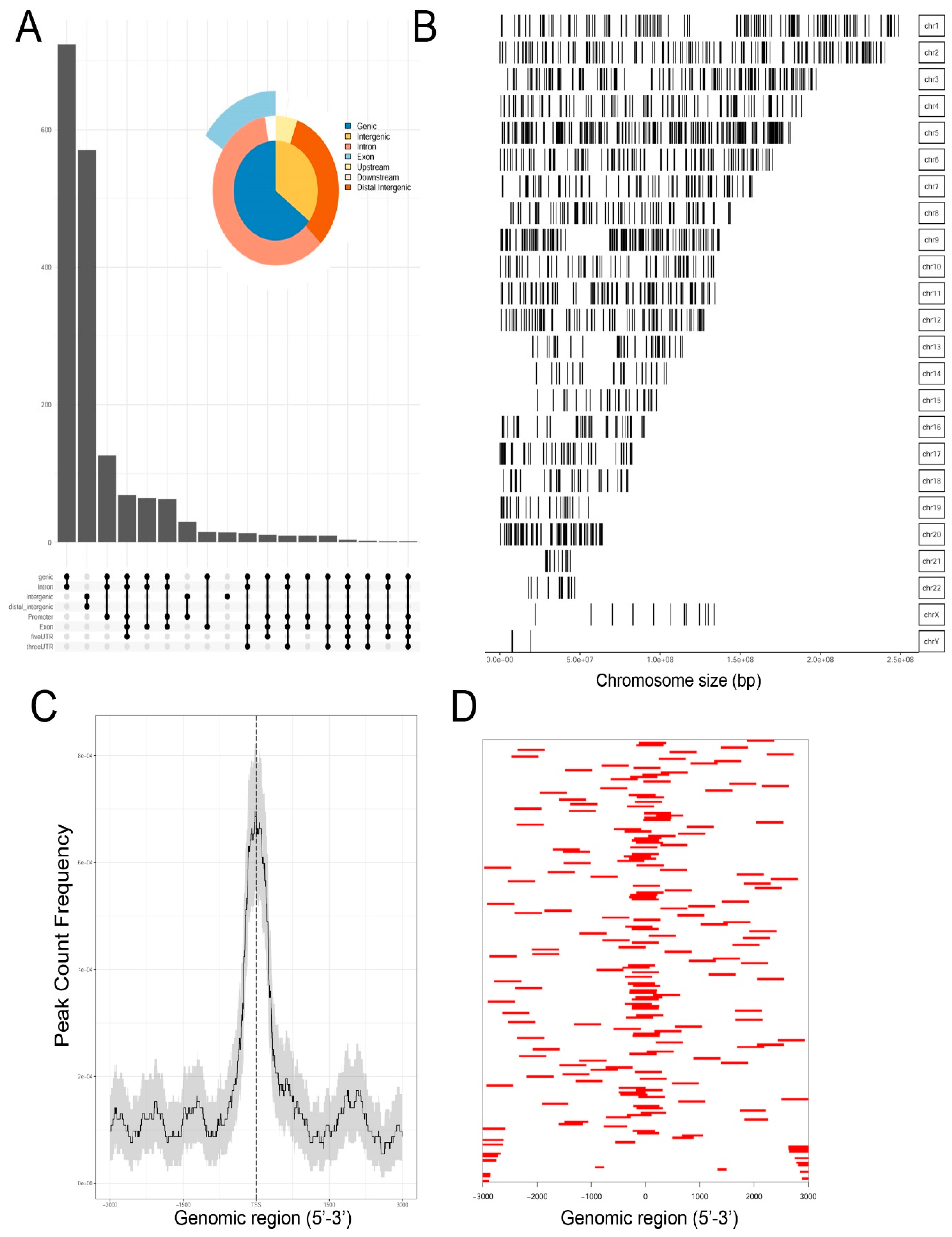 Viruses 12 00804 g006