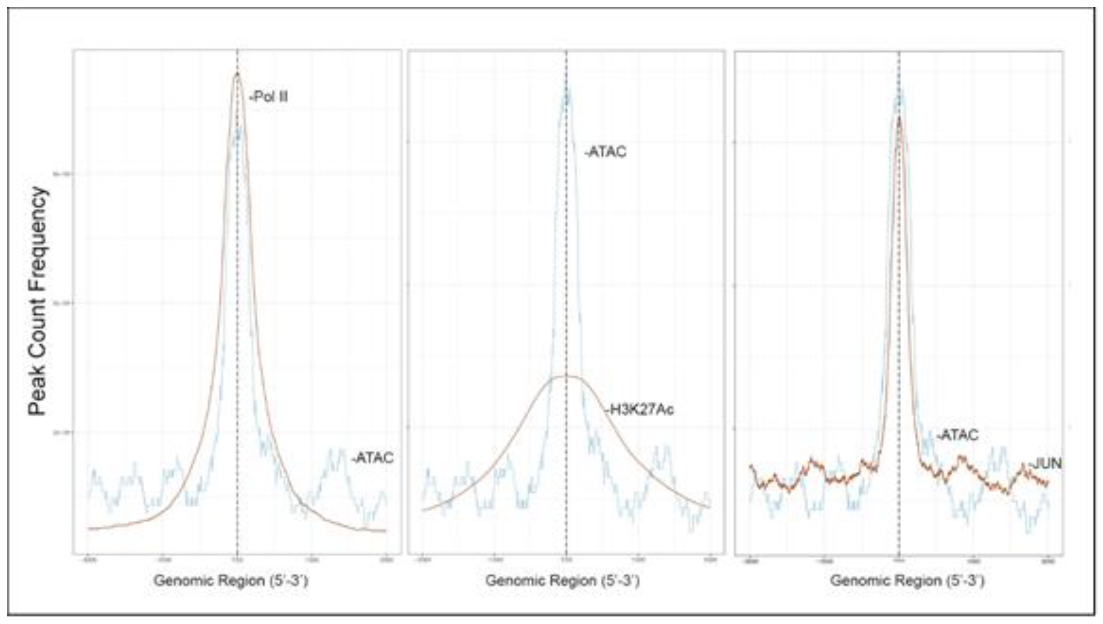 Viruses 12 00804 g007