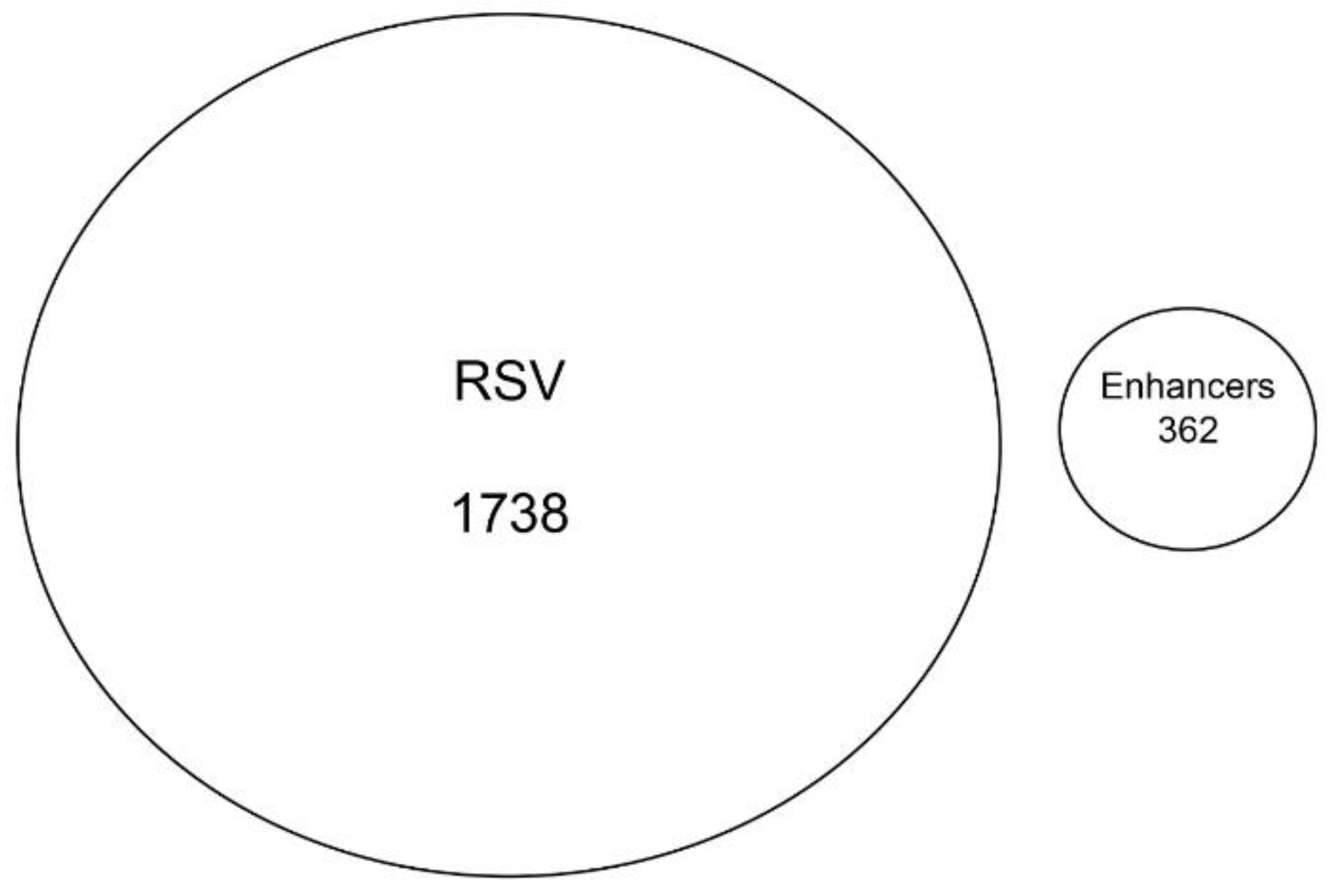 Viruses 12 00804 g008