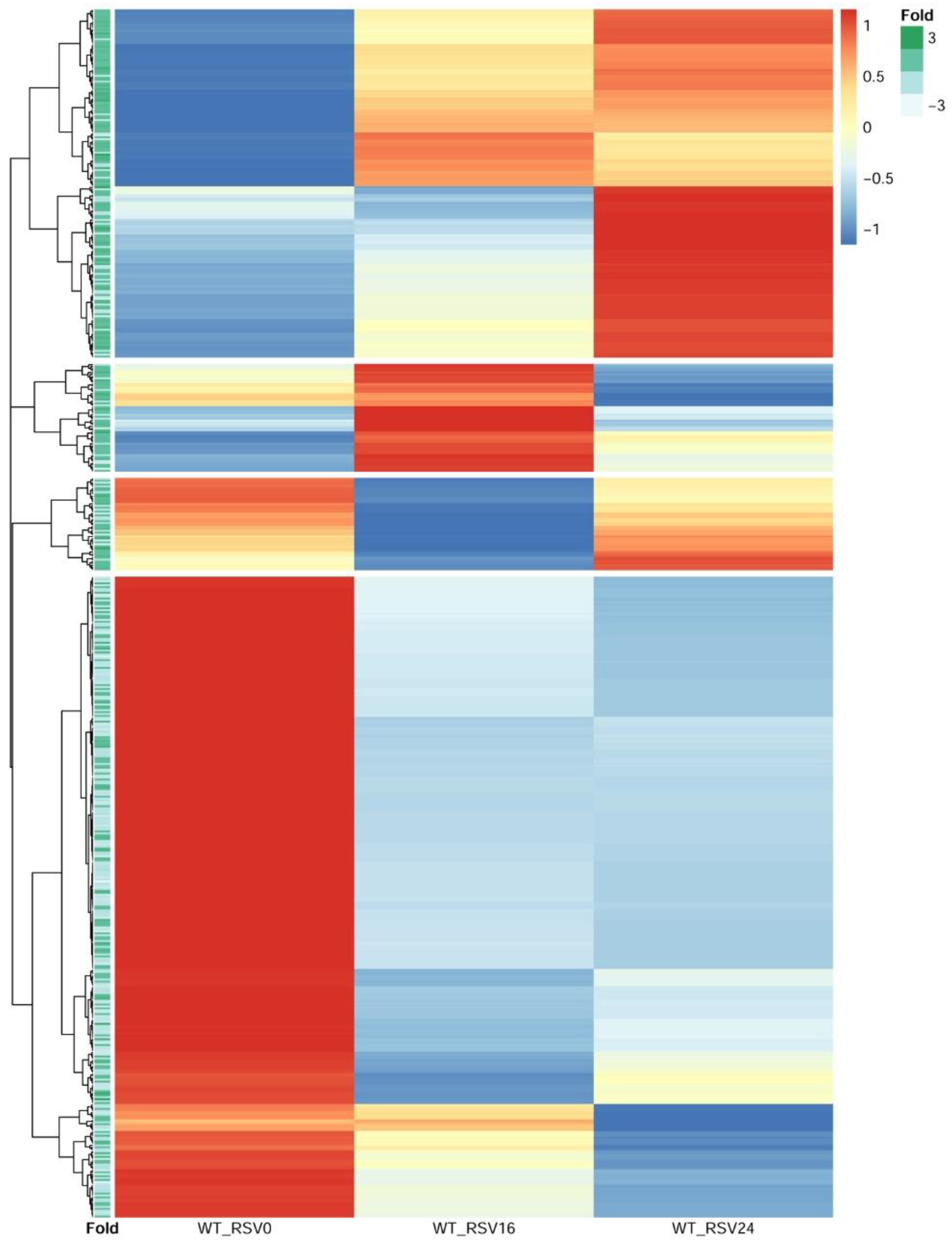 Viruses 12 00804 g009