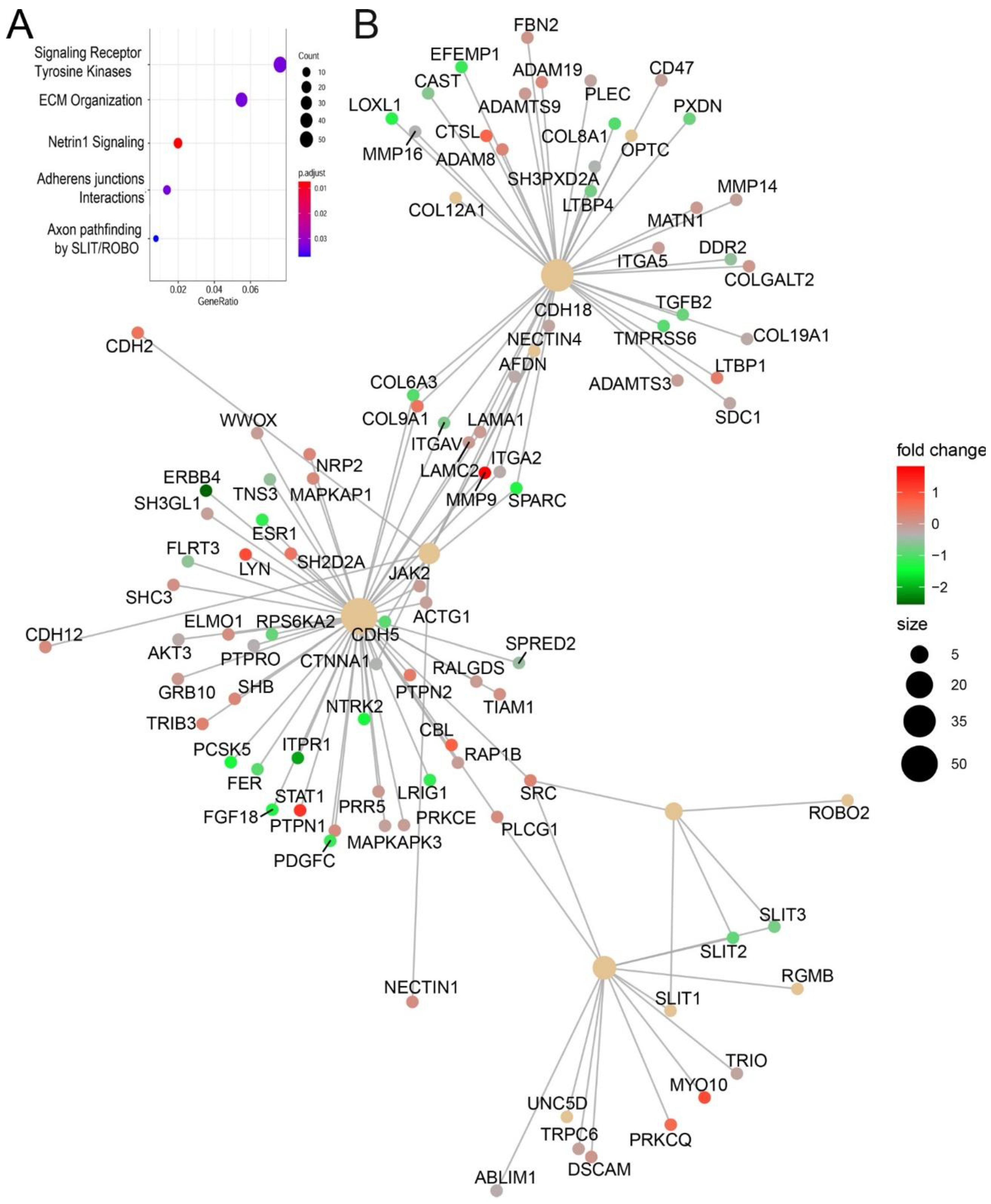 Viruses 12 00804 g010