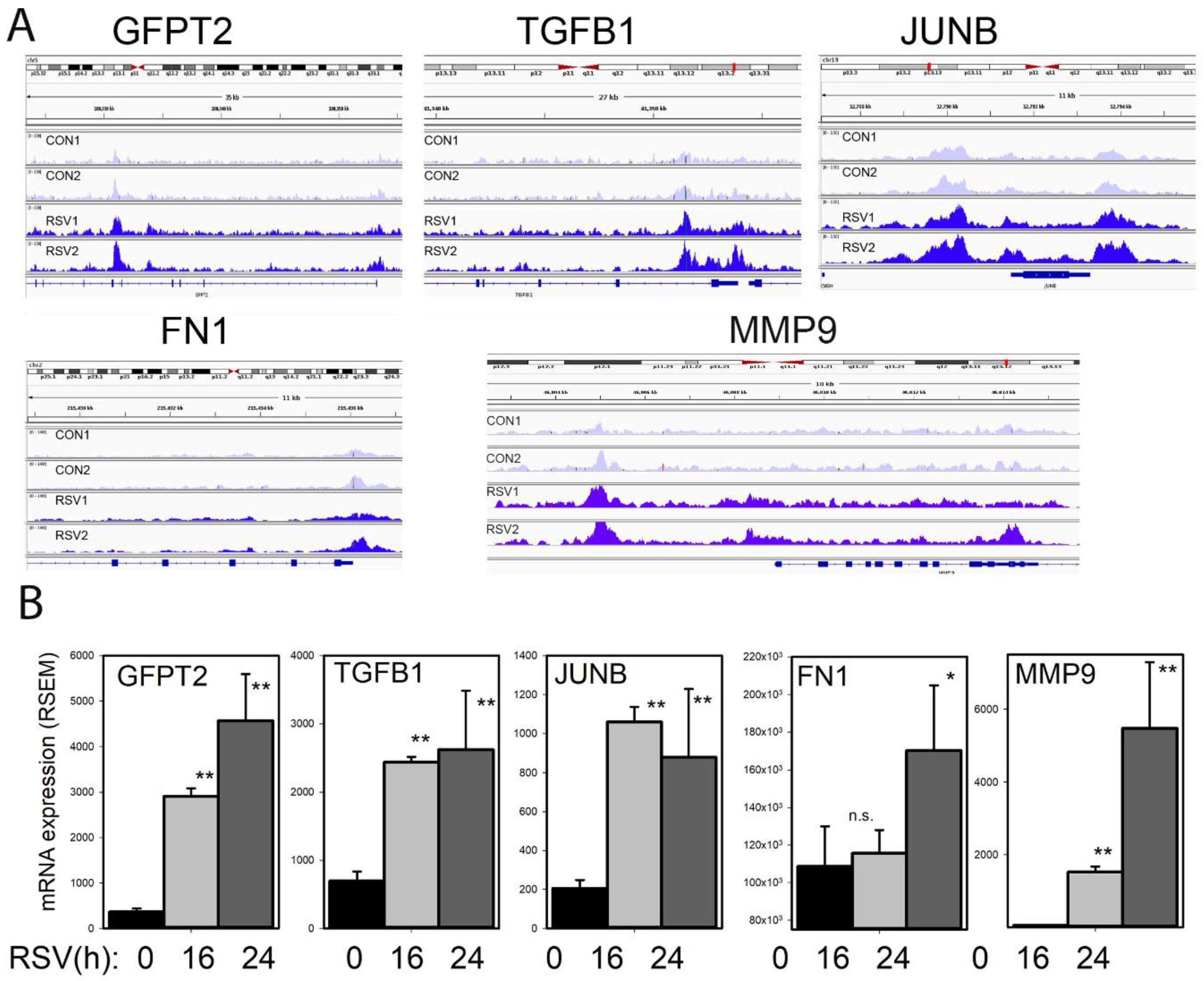 Viruses 12 00804 g011