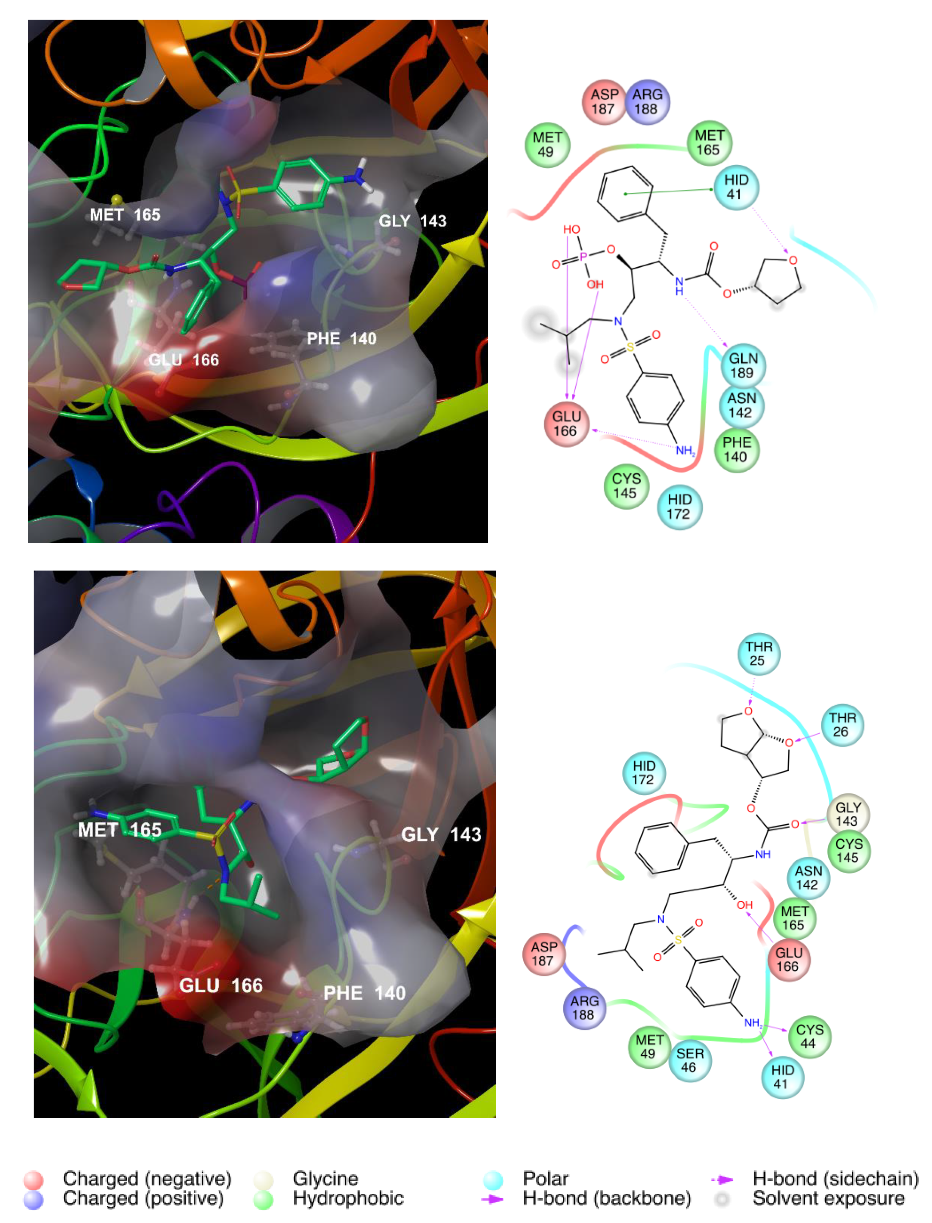 Viruses 12 00805 g005 Viruses 12 00805 g005