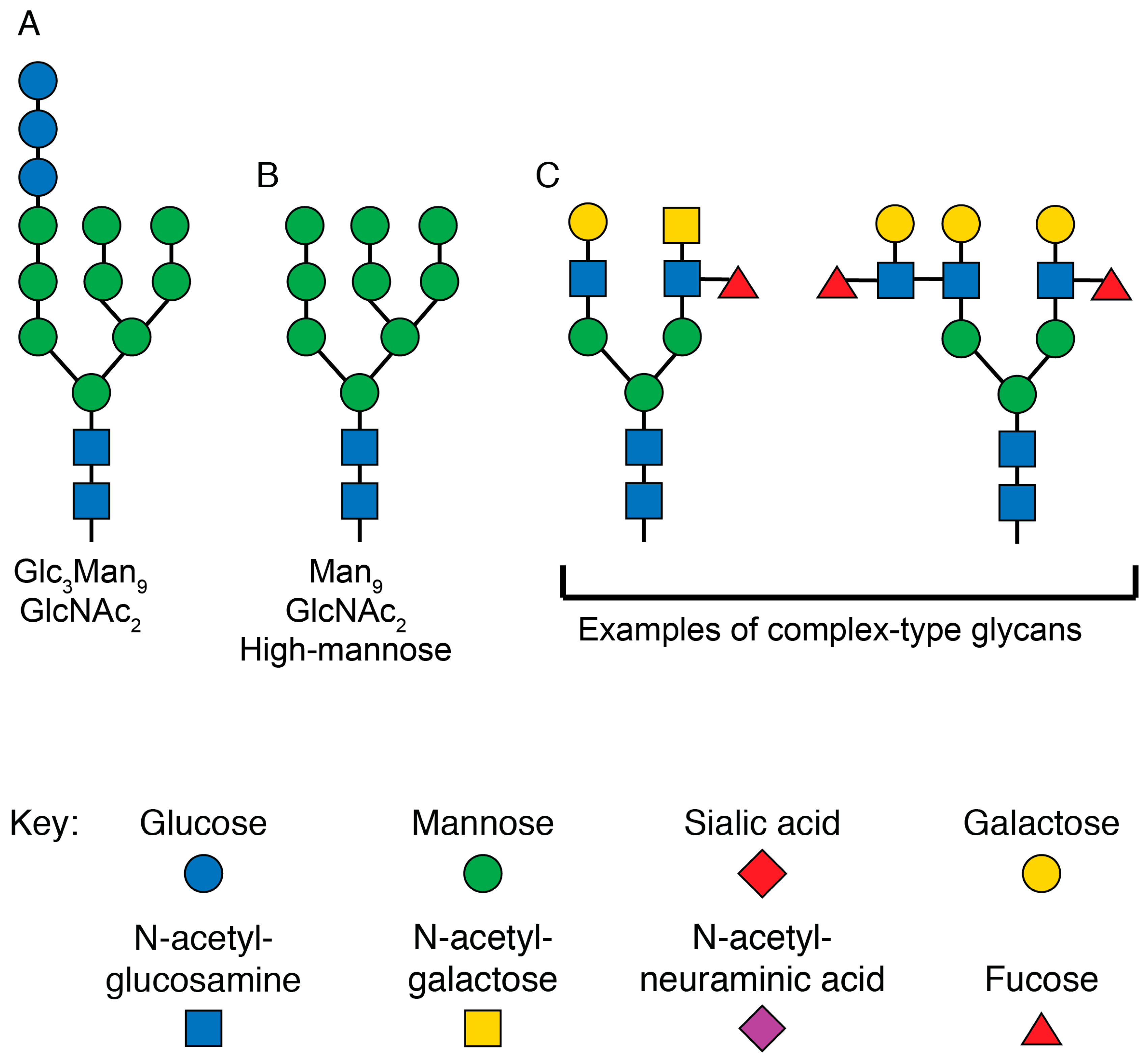Viruses 12 00809 g004 Viruses 12 00809 g004