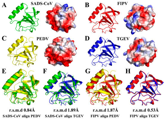 Structural and Biological Basis of Alphacoronavirus nsp1